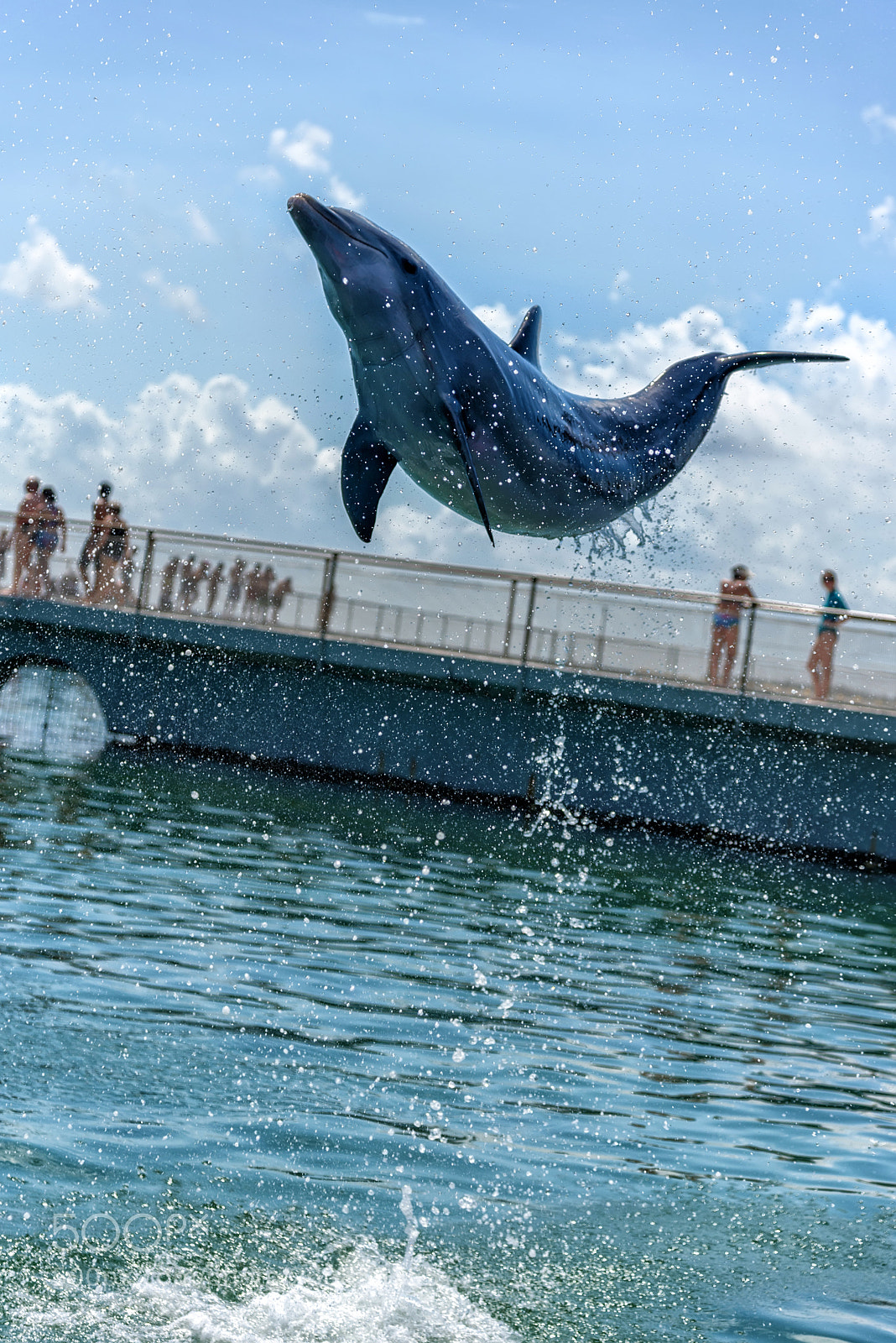 Nikon D750 sample photo. Above all photography
