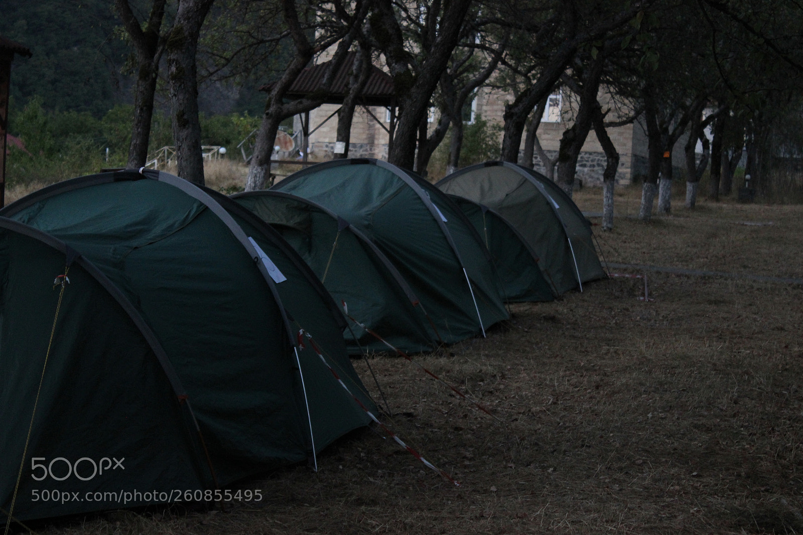 Canon EOS 600D (Rebel EOS T3i / EOS Kiss X5) sample photo. Img photography
