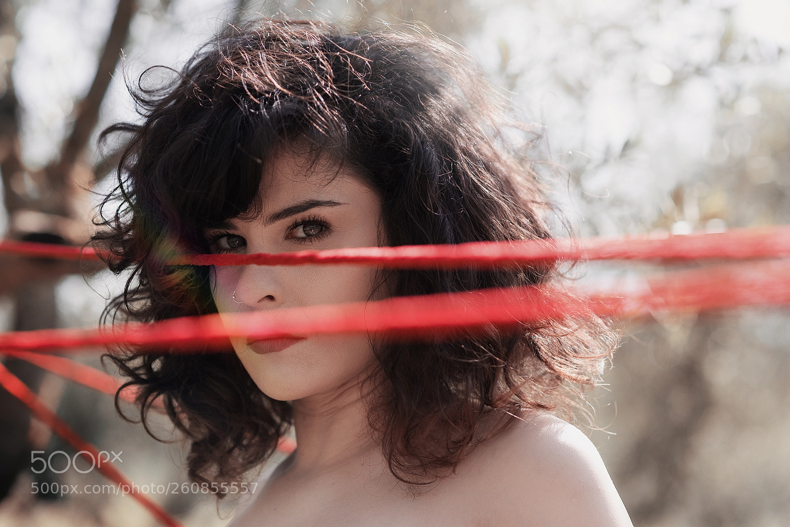 Nikon D810 sample photo. Perception photography