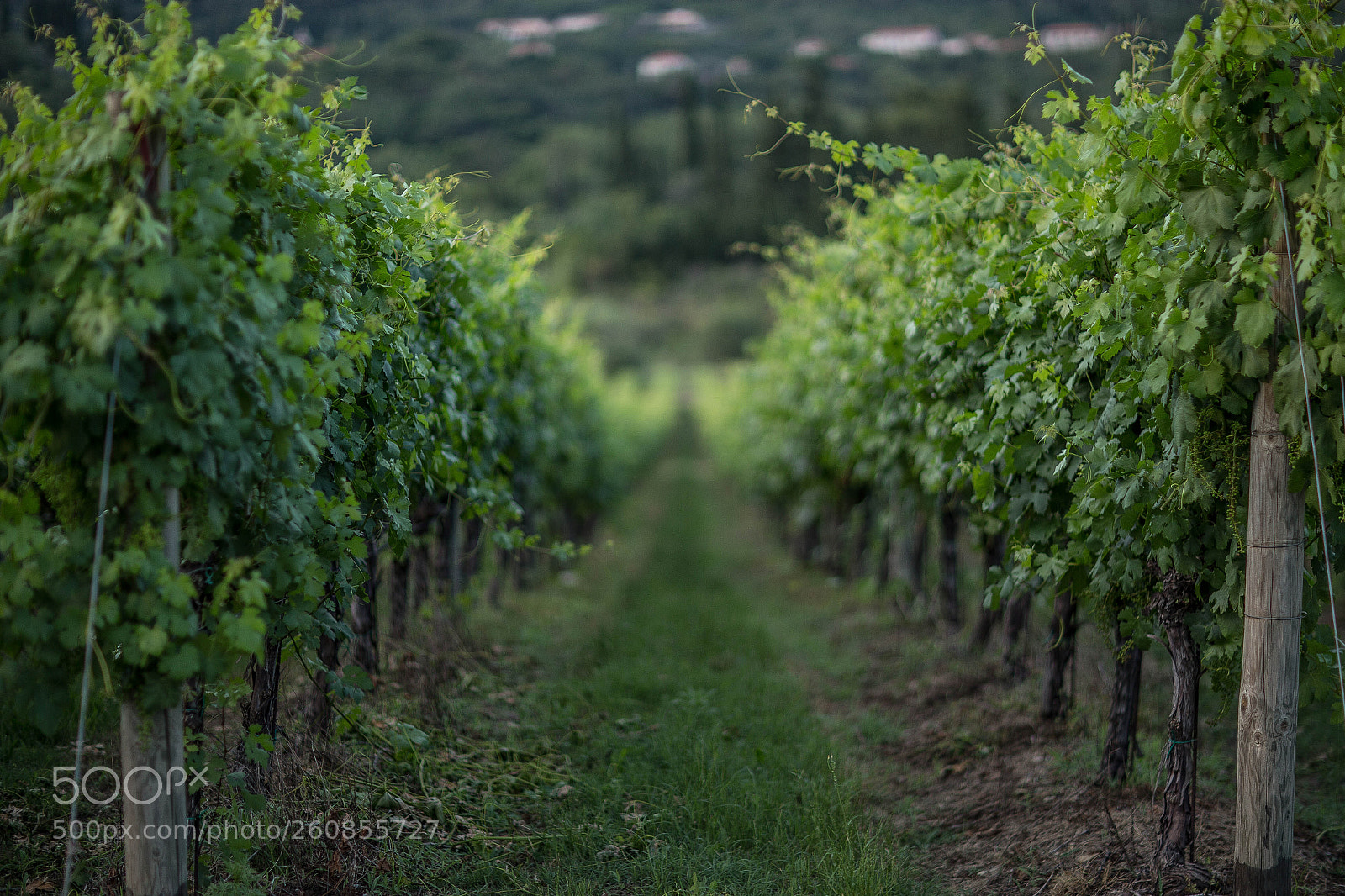 Canon EOS 6D sample photo. Countryside photography