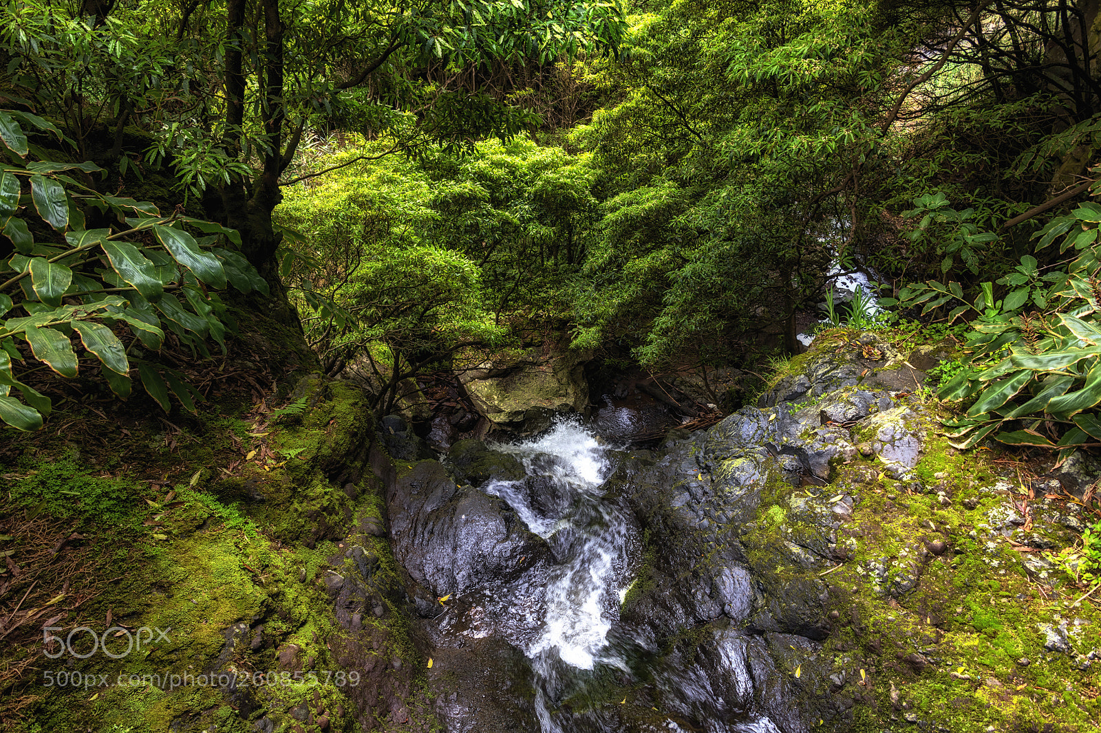 Nikon D850 sample photo. Moment of nature photography