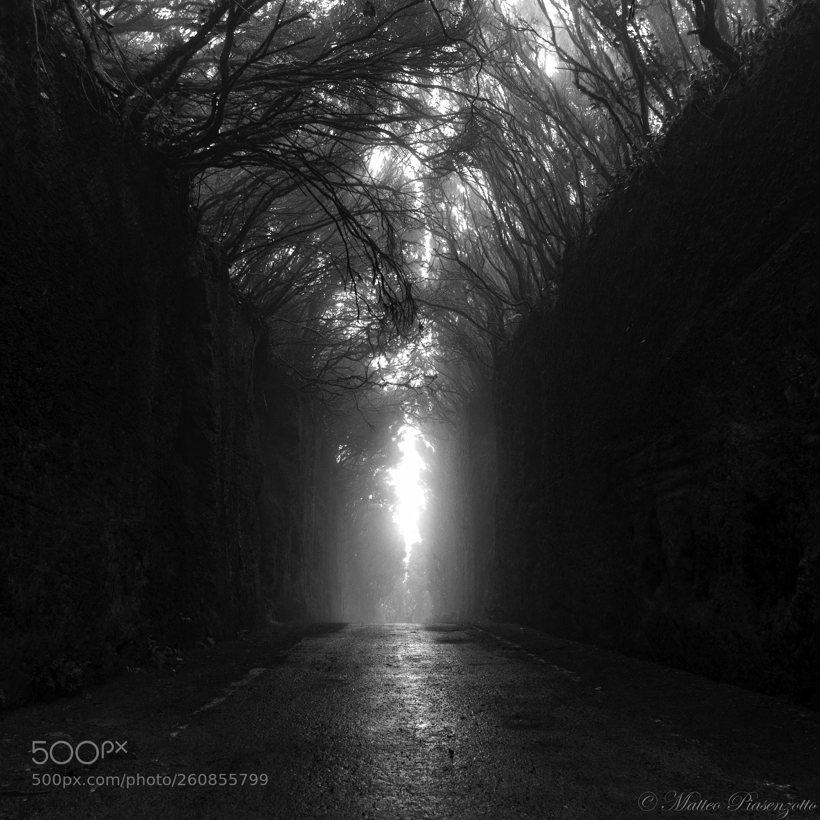 Canon EOS 600D (Rebel EOS T3i / EOS Kiss X5) sample photo. Spooky road photography