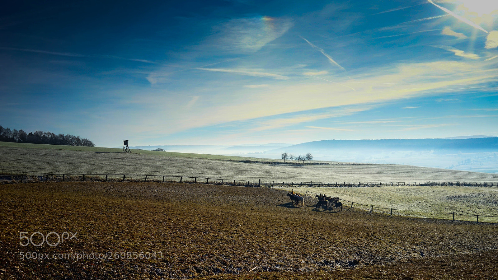Sony a7 sample photo. Uslar im rolling photography