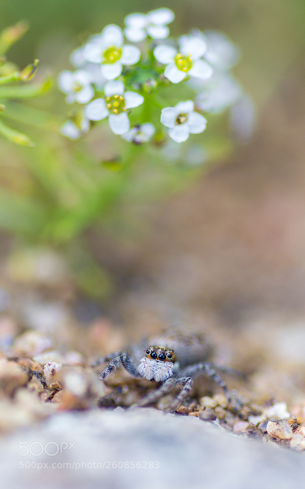 Pentax K-5 sample photo. Untitled photography