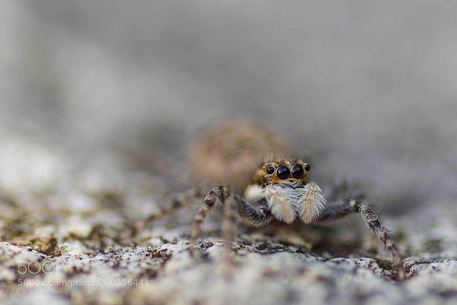 Pentax K-5 sample photo. Untitled photography