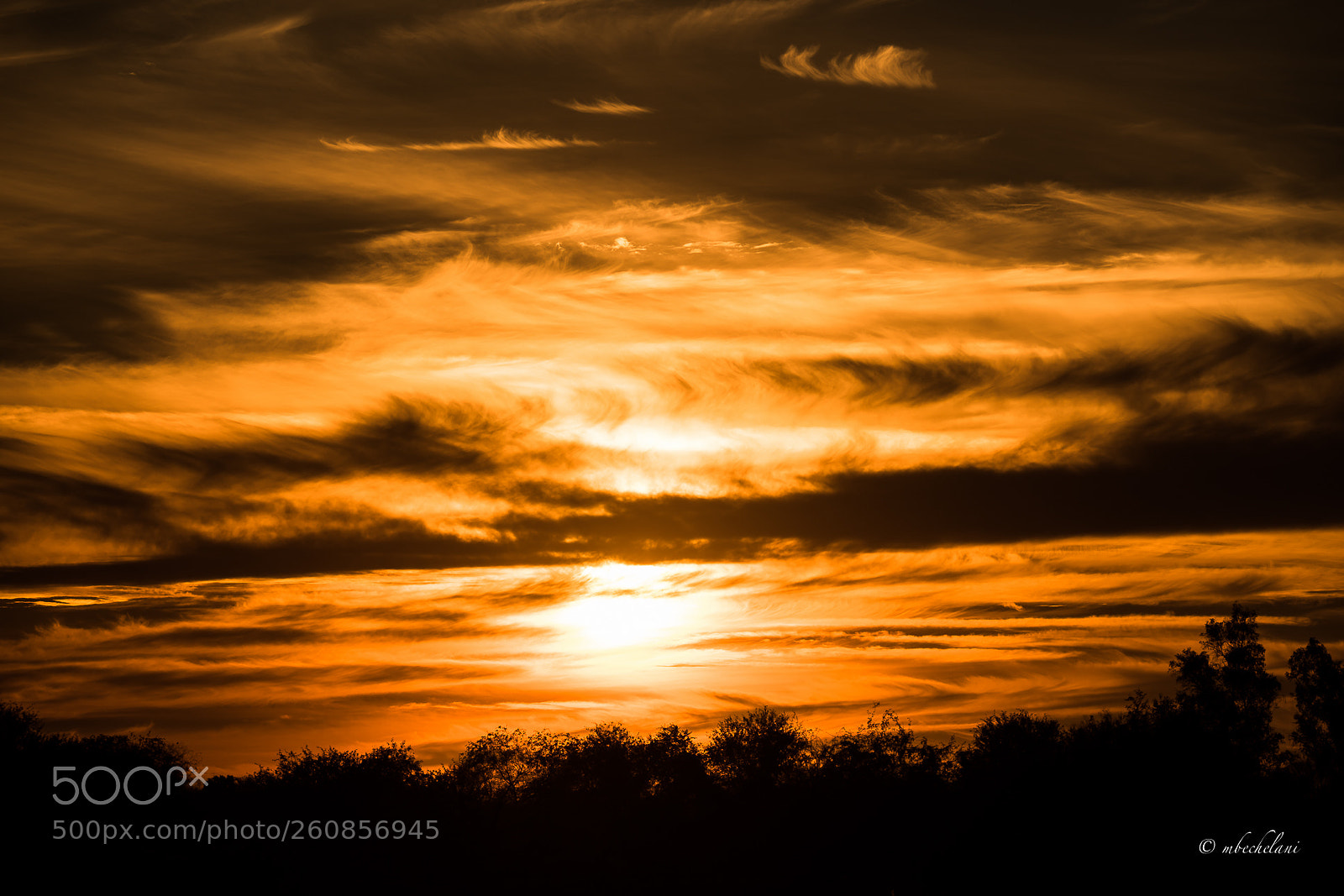 Nikon D810 sample photo. Mbs photography
