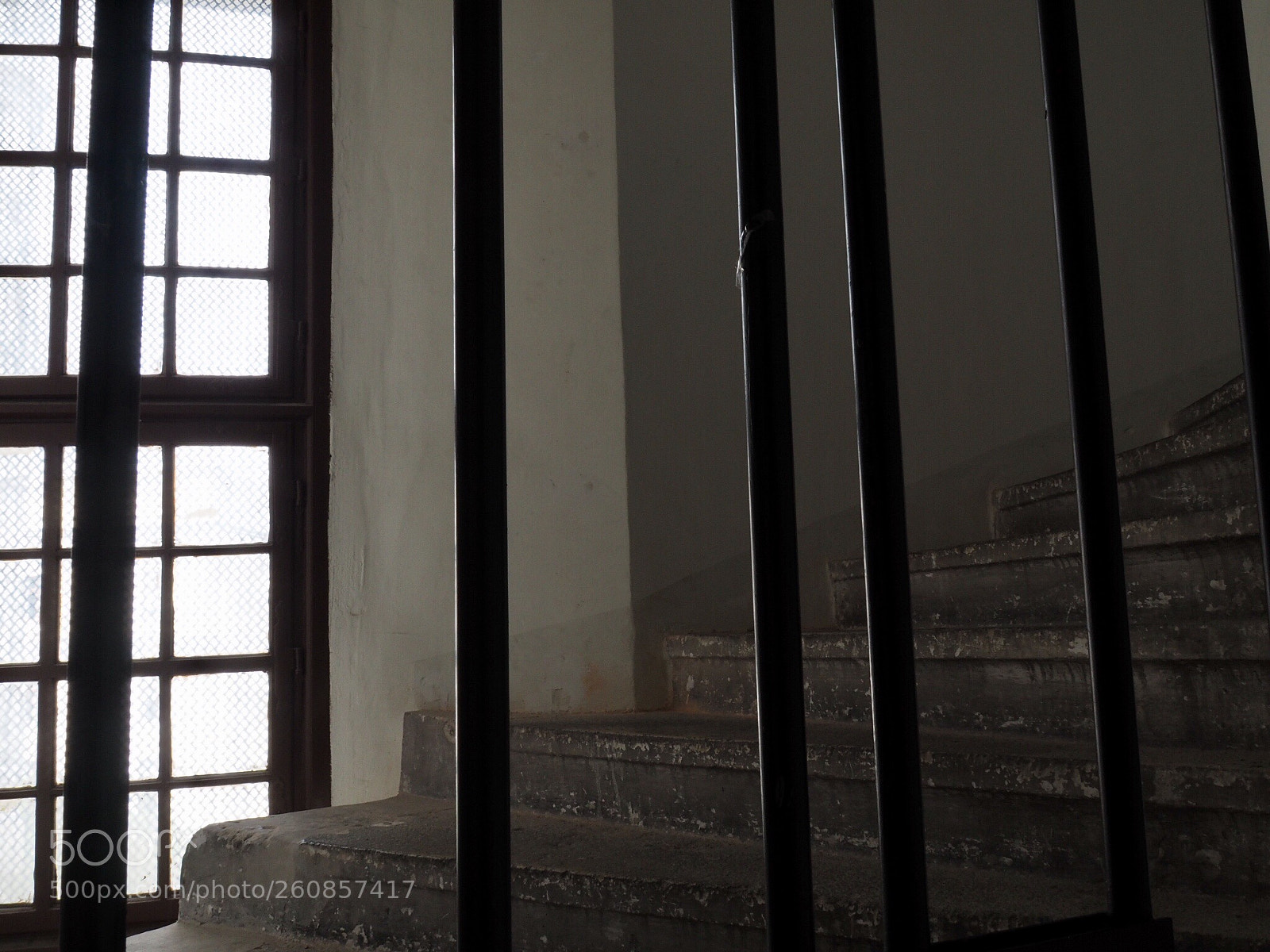 Olympus OM-D E-M5 II sample photo. Untitled photography