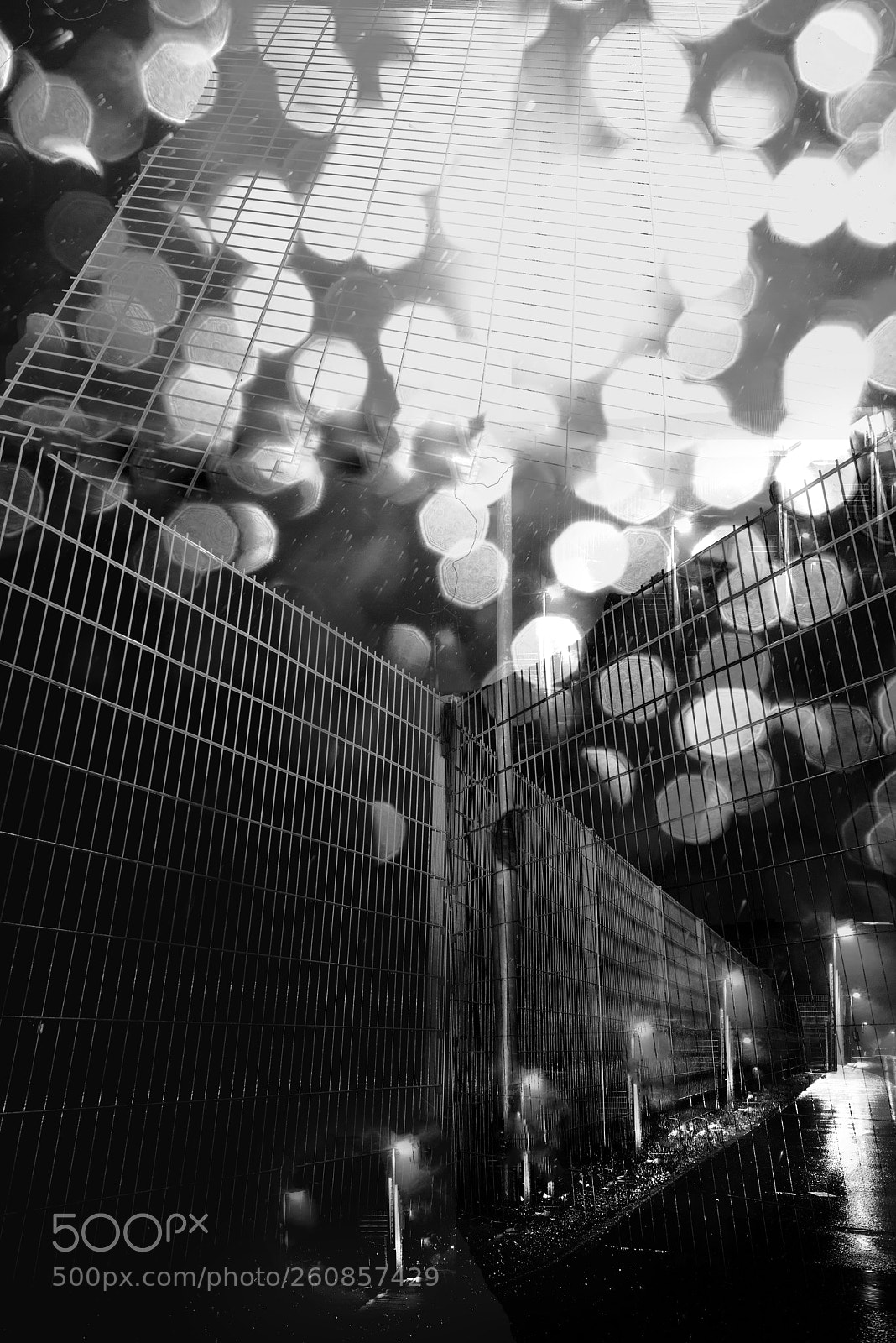 Nikon D800 sample photo. Untitled photography