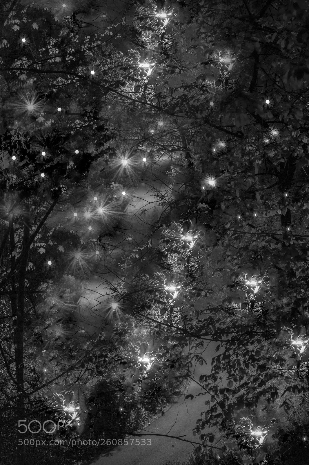 Nikon D7100 sample photo. Untitled photography