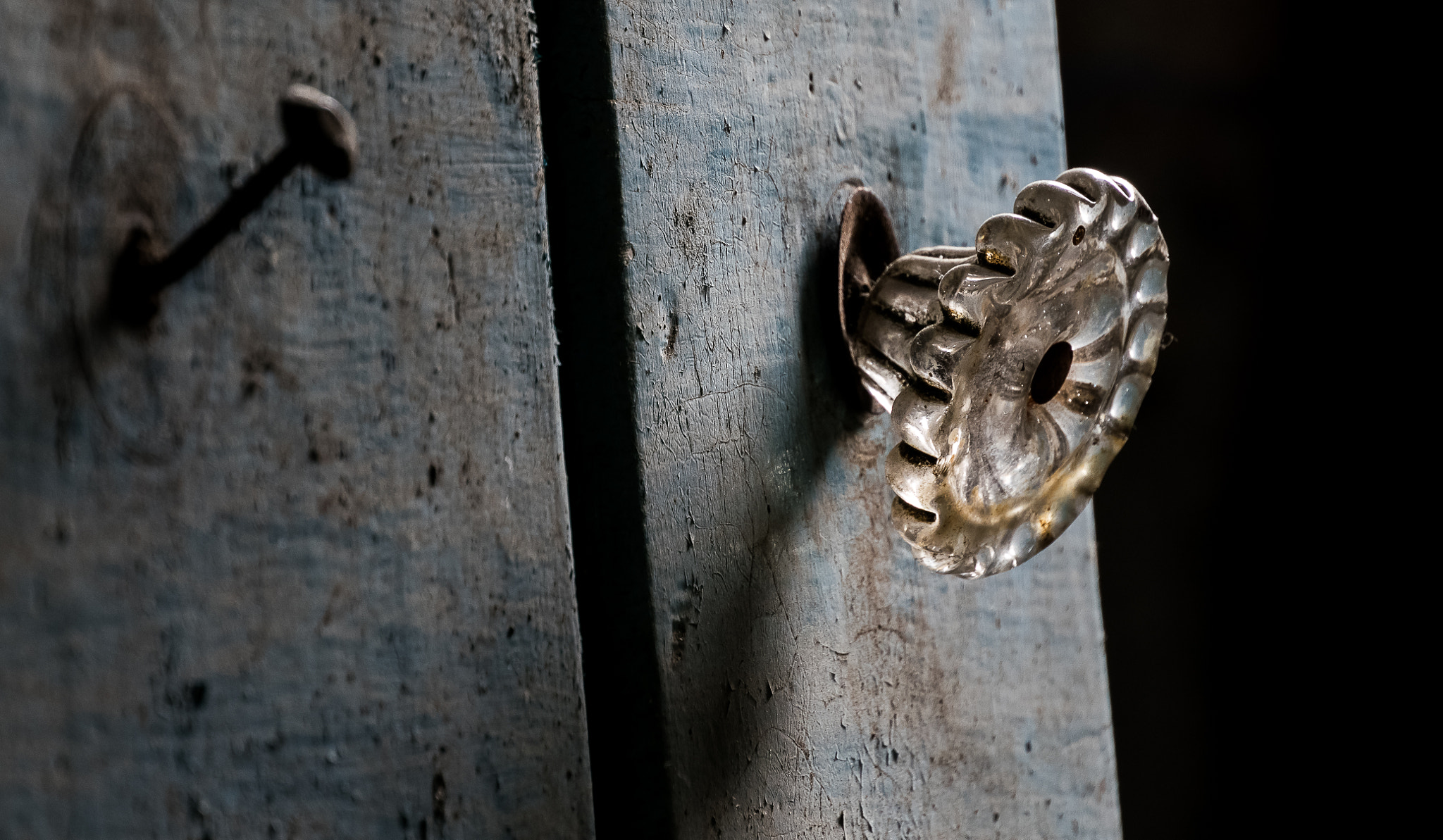 Nikon 1 J5 sample photo. ***** photography