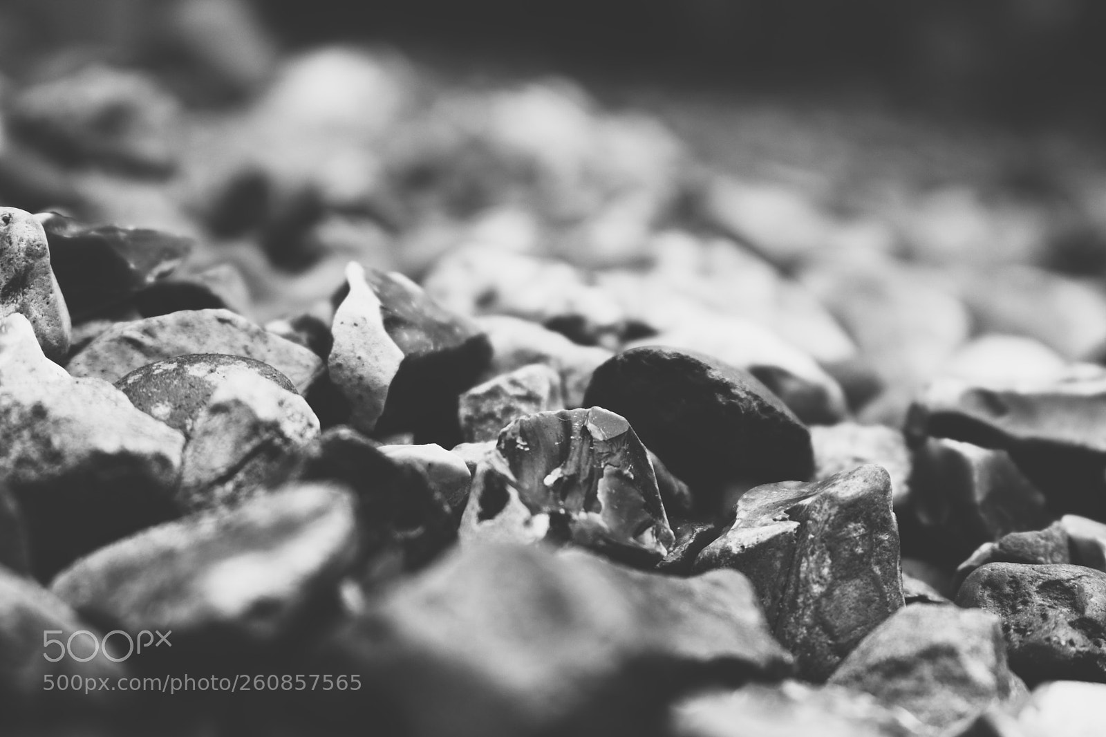 Canon EOS 750D (EOS Rebel T6i / EOS Kiss X8i) sample photo. Processed with vsco with photography