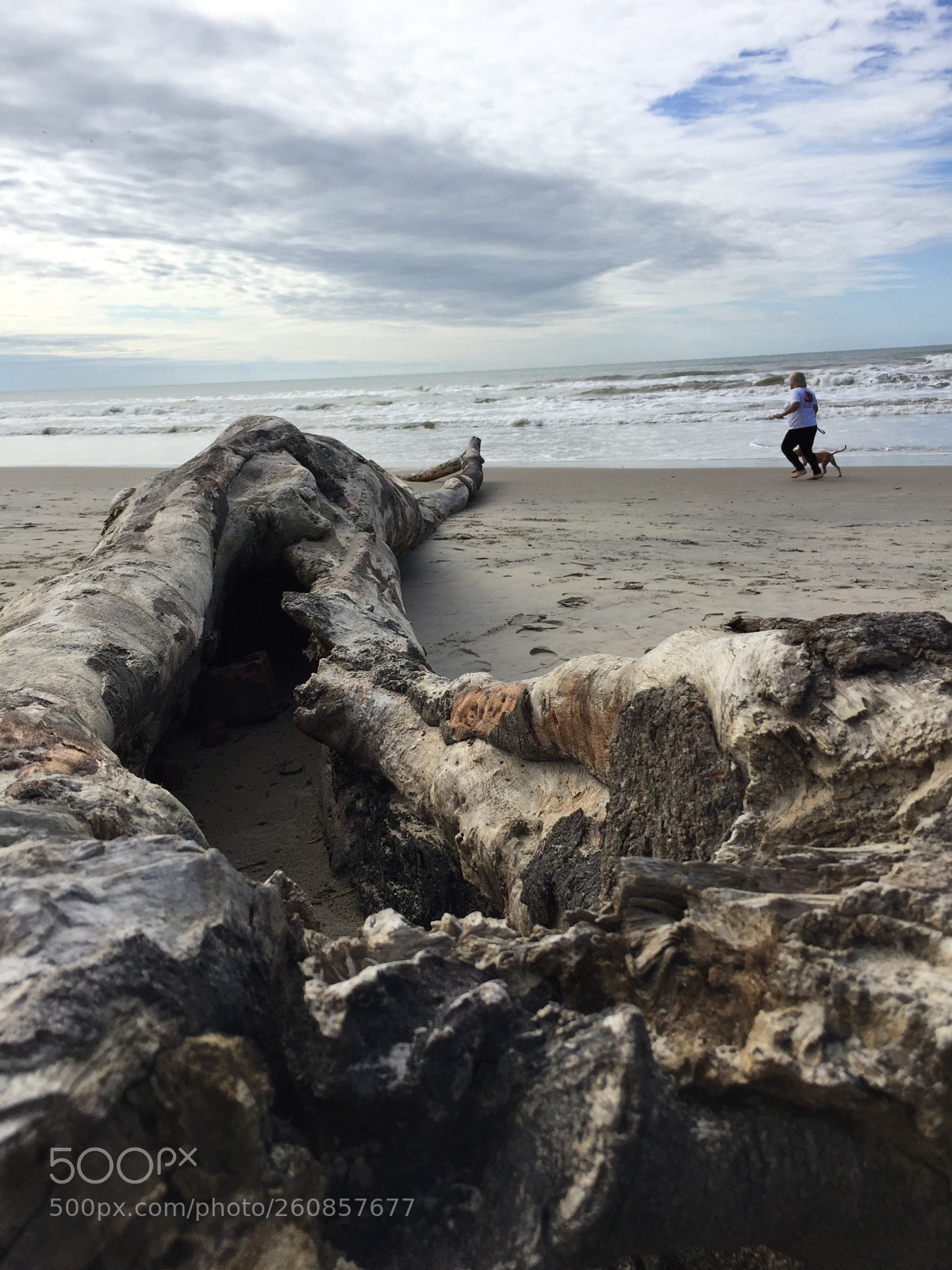 Apple iPhone 6 sample photo. Ocean photography