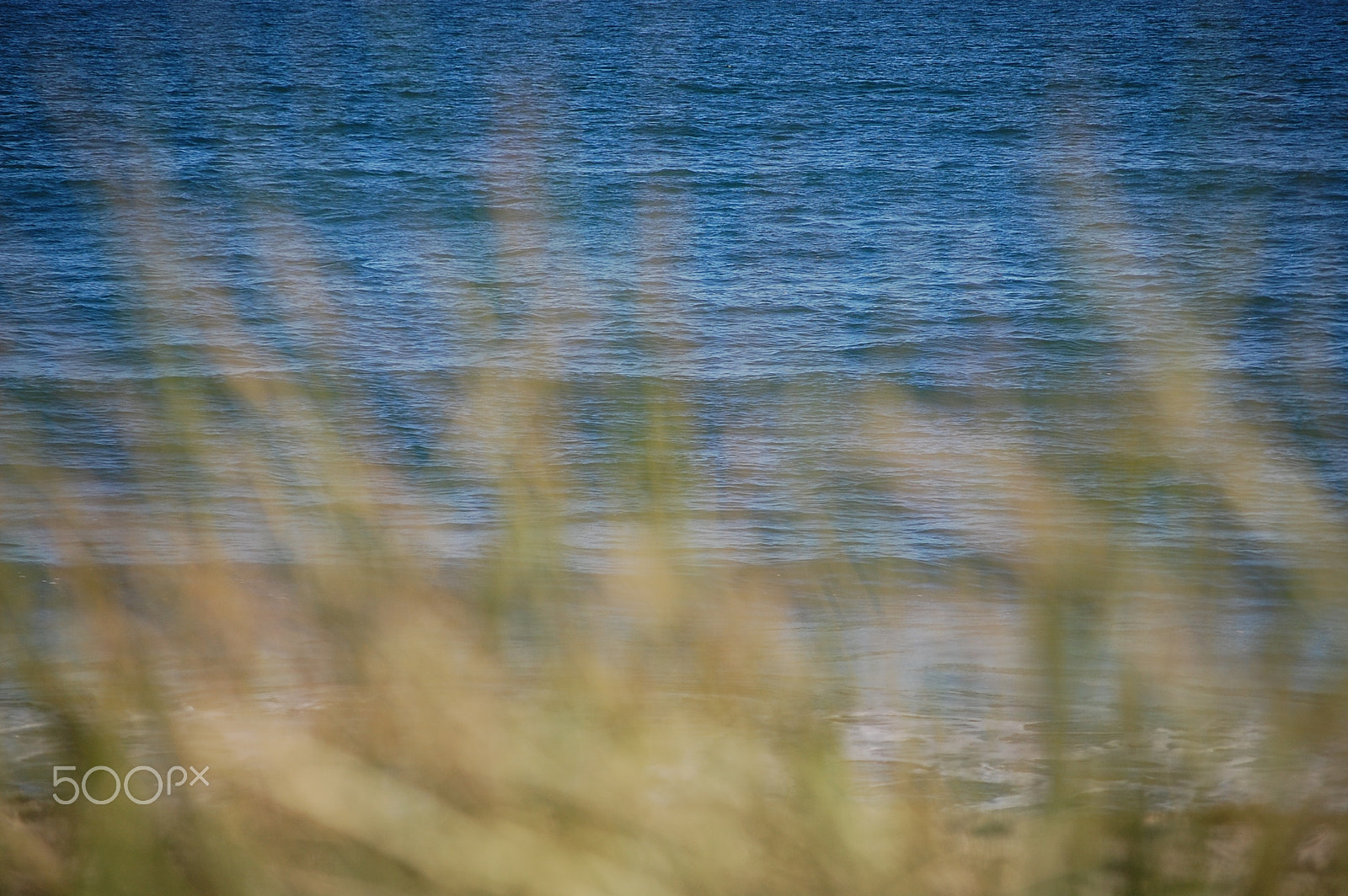 Nikon D40 sample photo. Beach photography