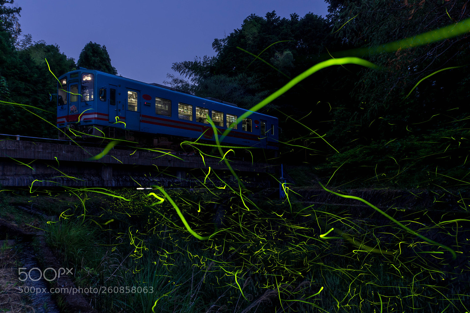 Nikon D7200 sample photo. Firefly × train photography