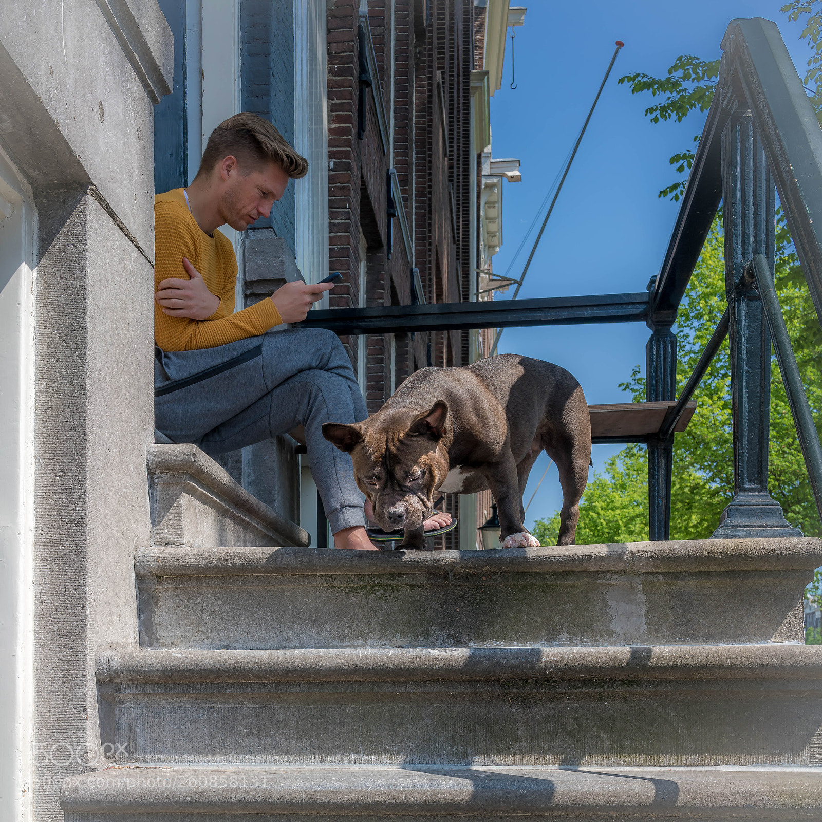 Sony a7R III sample photo. Man and his bulldog photography