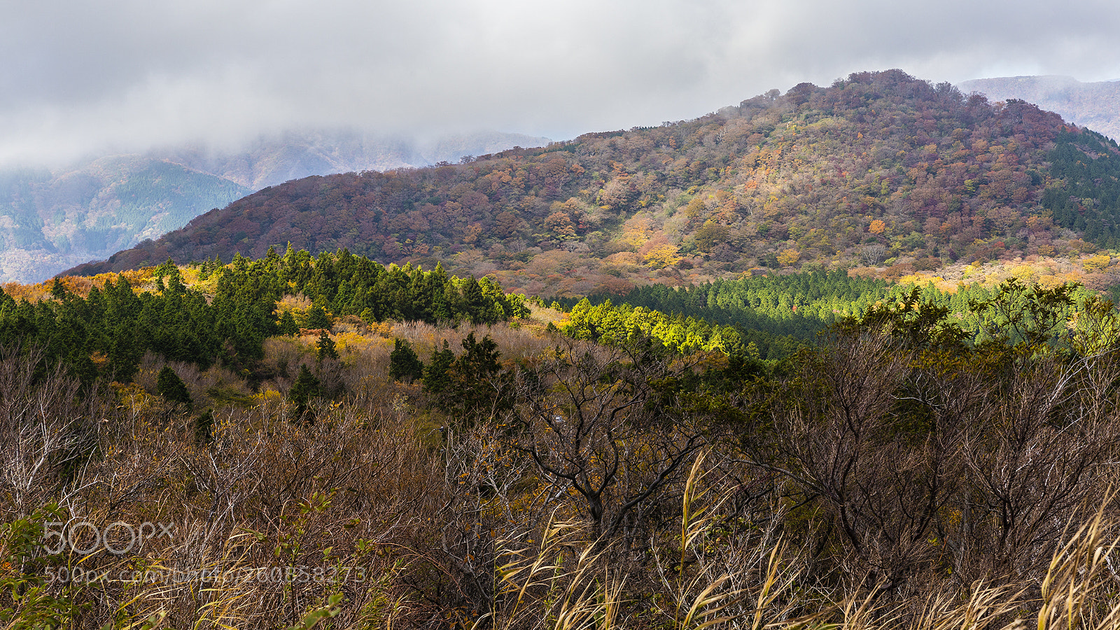 Canon EOS 6D sample photo. Hakone photography