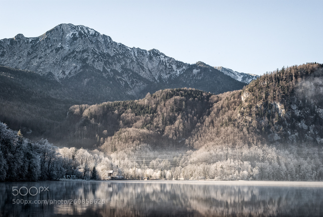 Nikon D3000 sample photo. _ photography