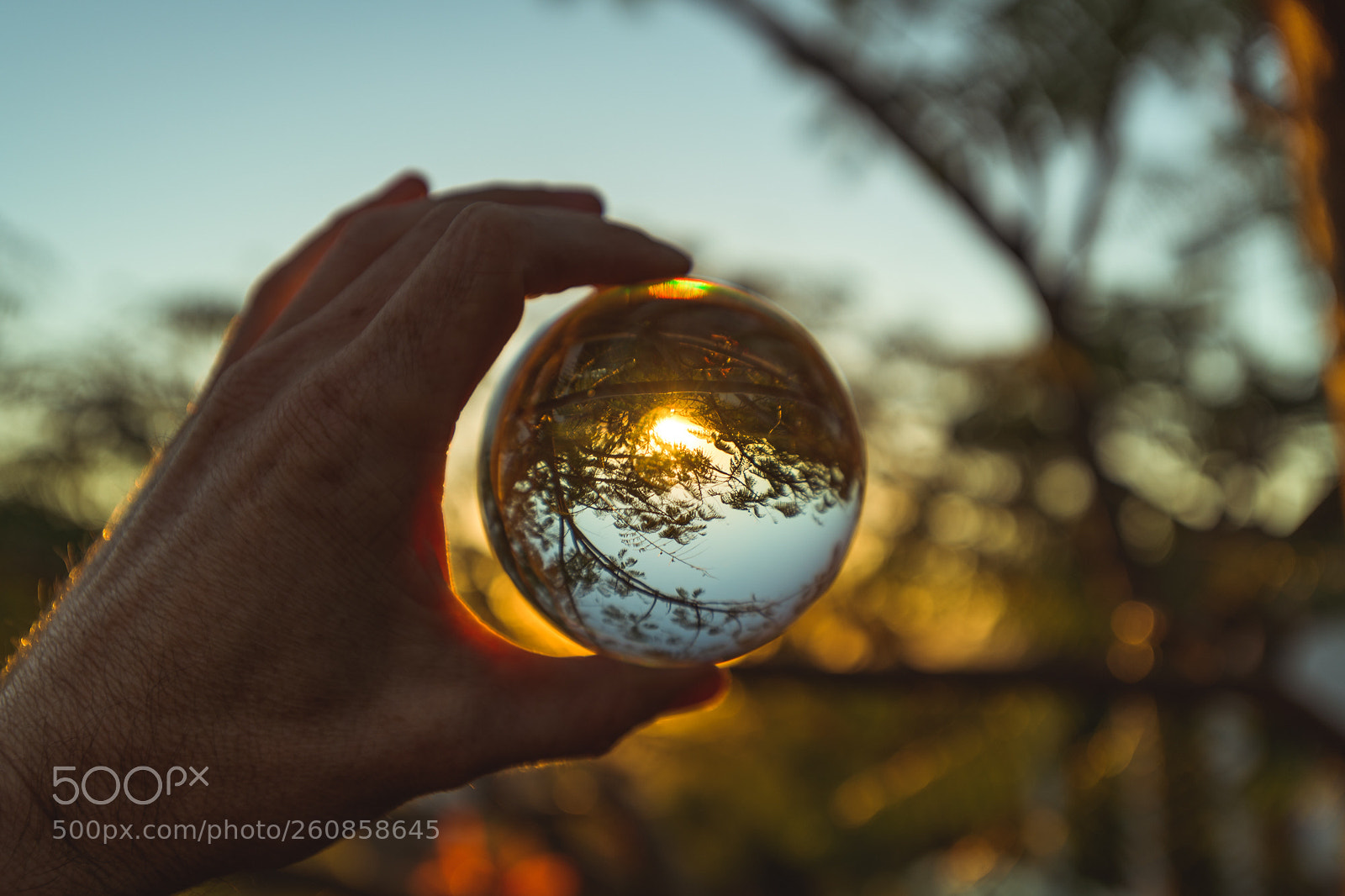 Nikon D850 sample photo. The cliche photography