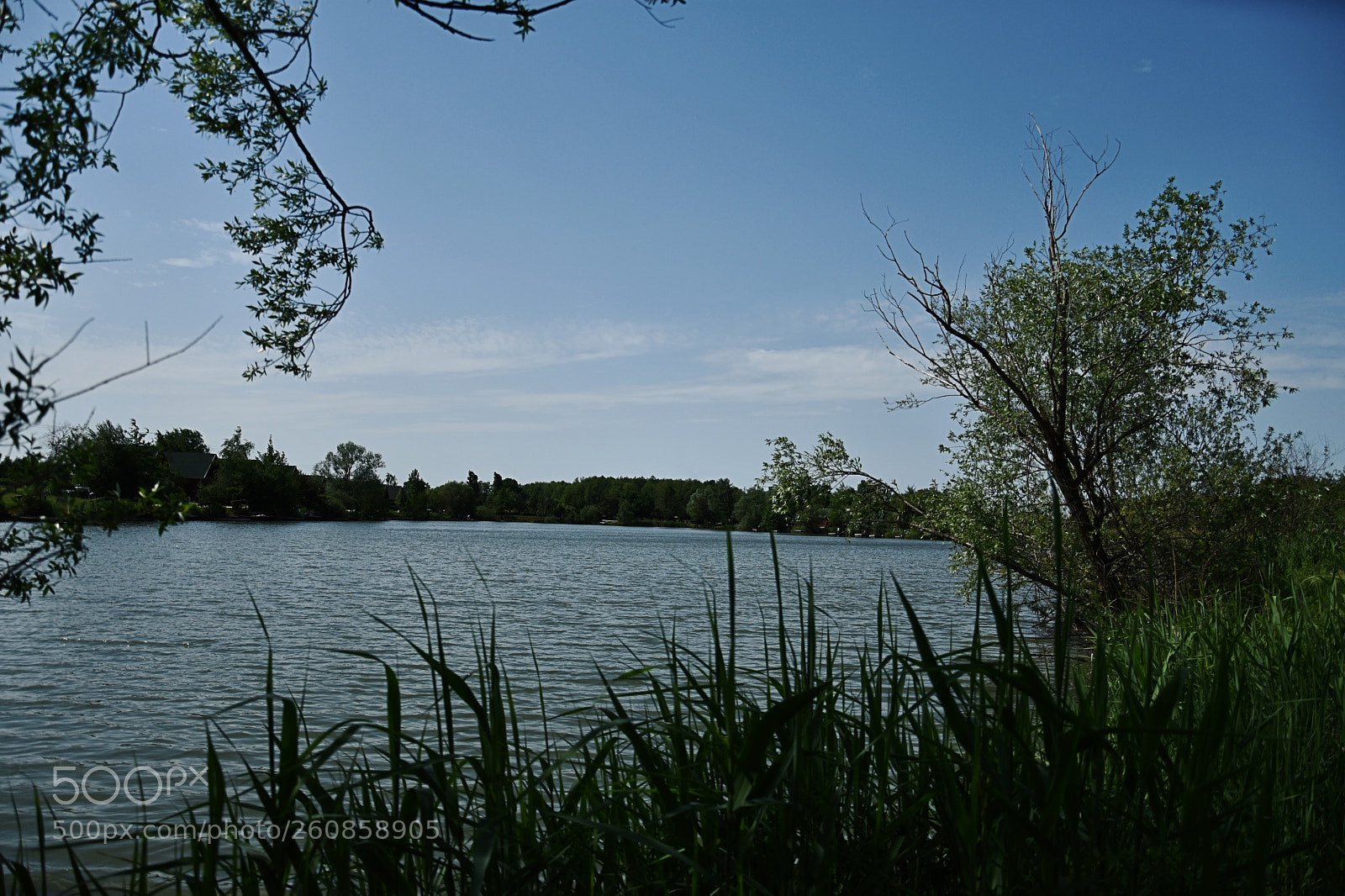 Nikon D3400 sample photo. Travel and walk around photography