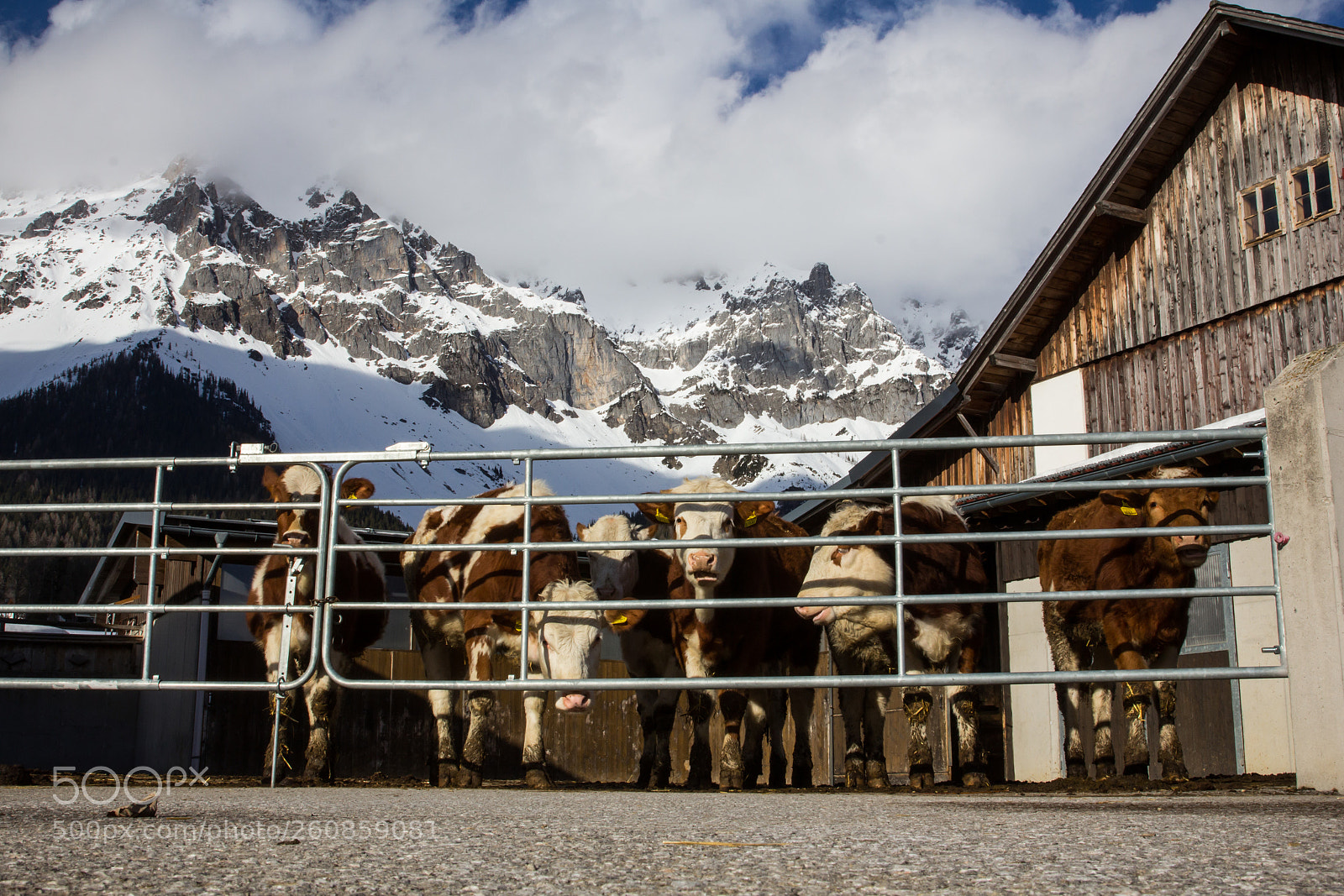 Canon EOS 60D sample photo. Under dachstein photography