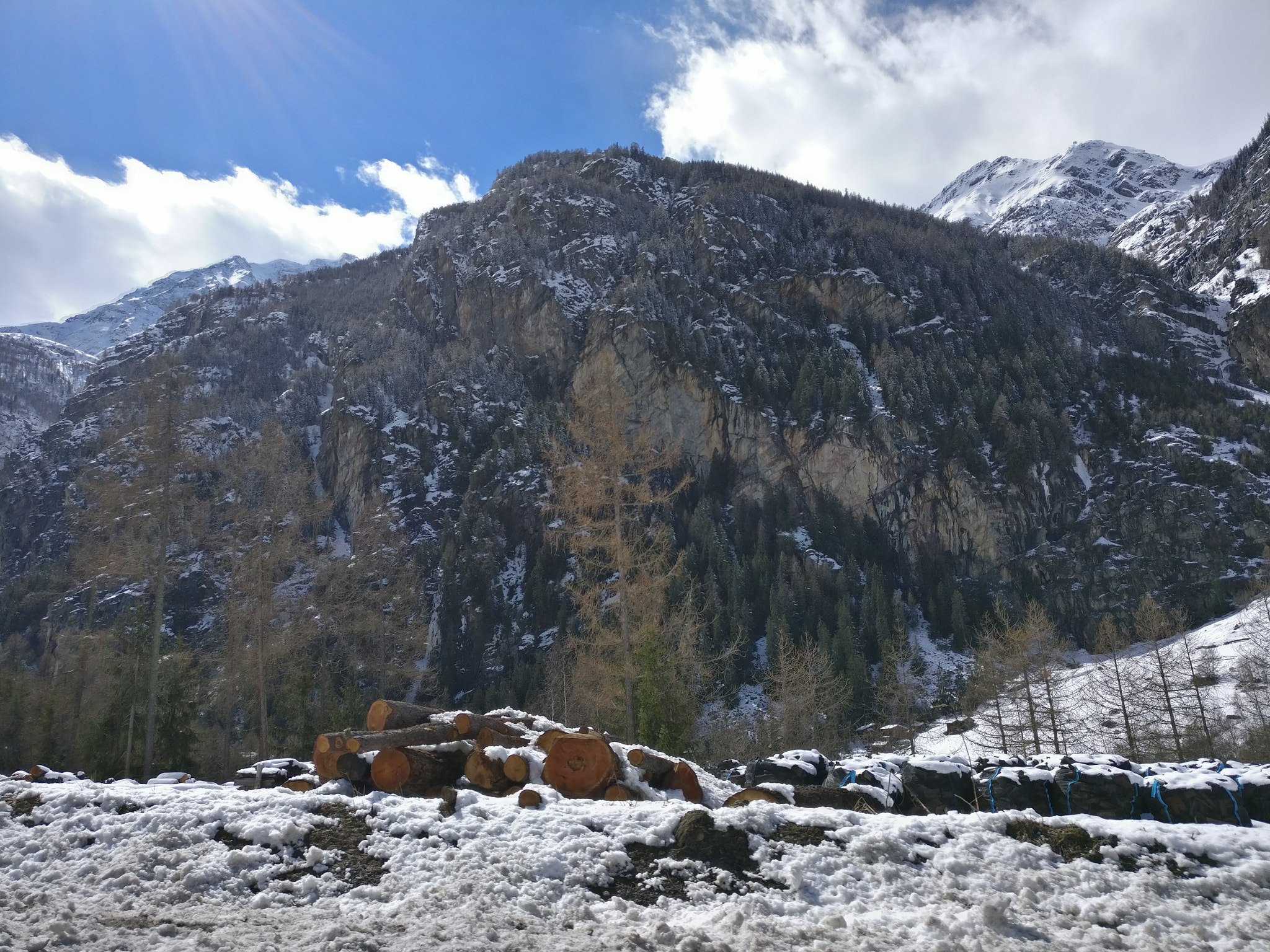 OnePlus A3000 sample photo. Img_20180401_145301.jpg photography
