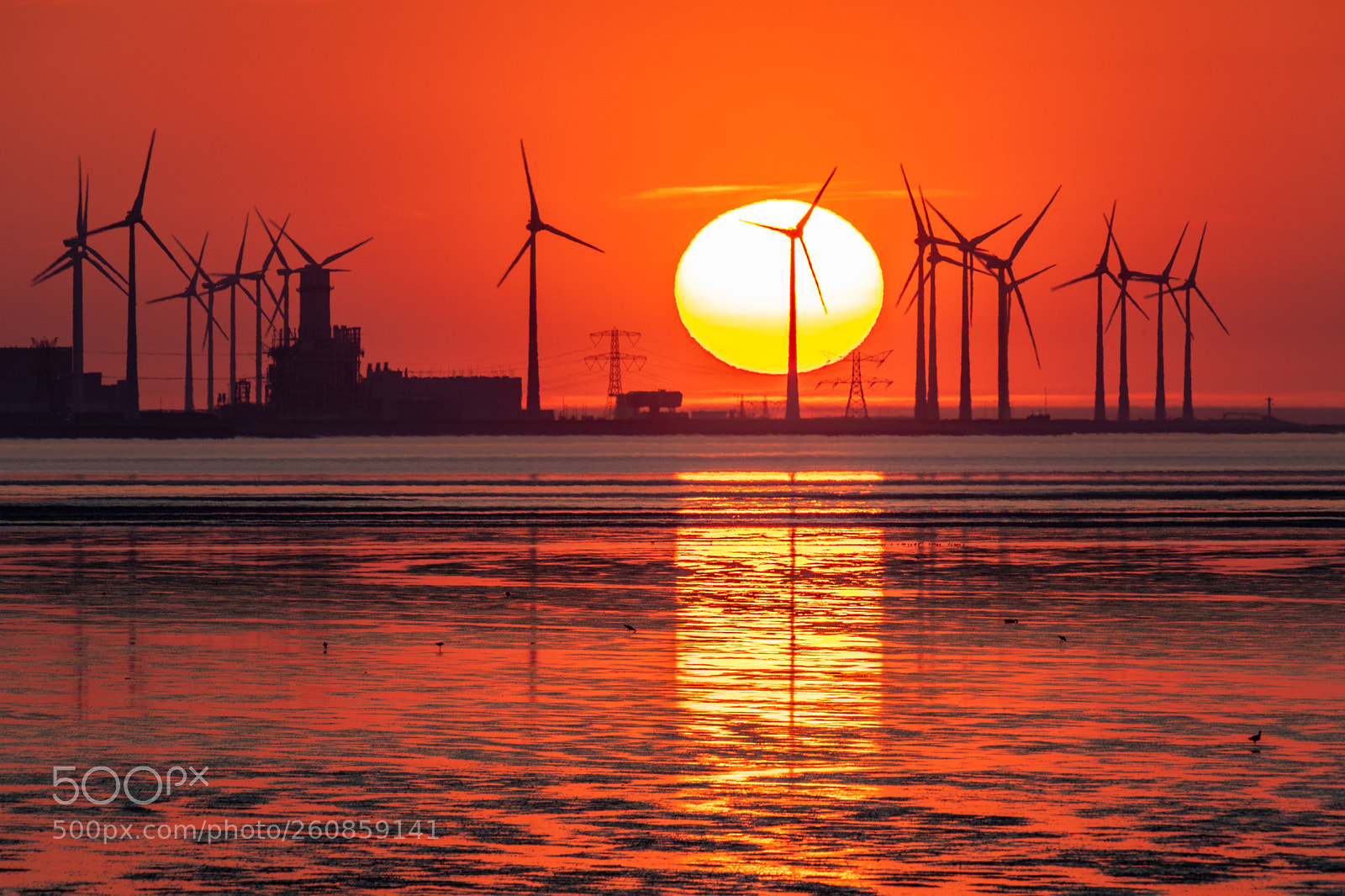 Canon EOS 5D Mark IV sample photo. Nature meets industry photography