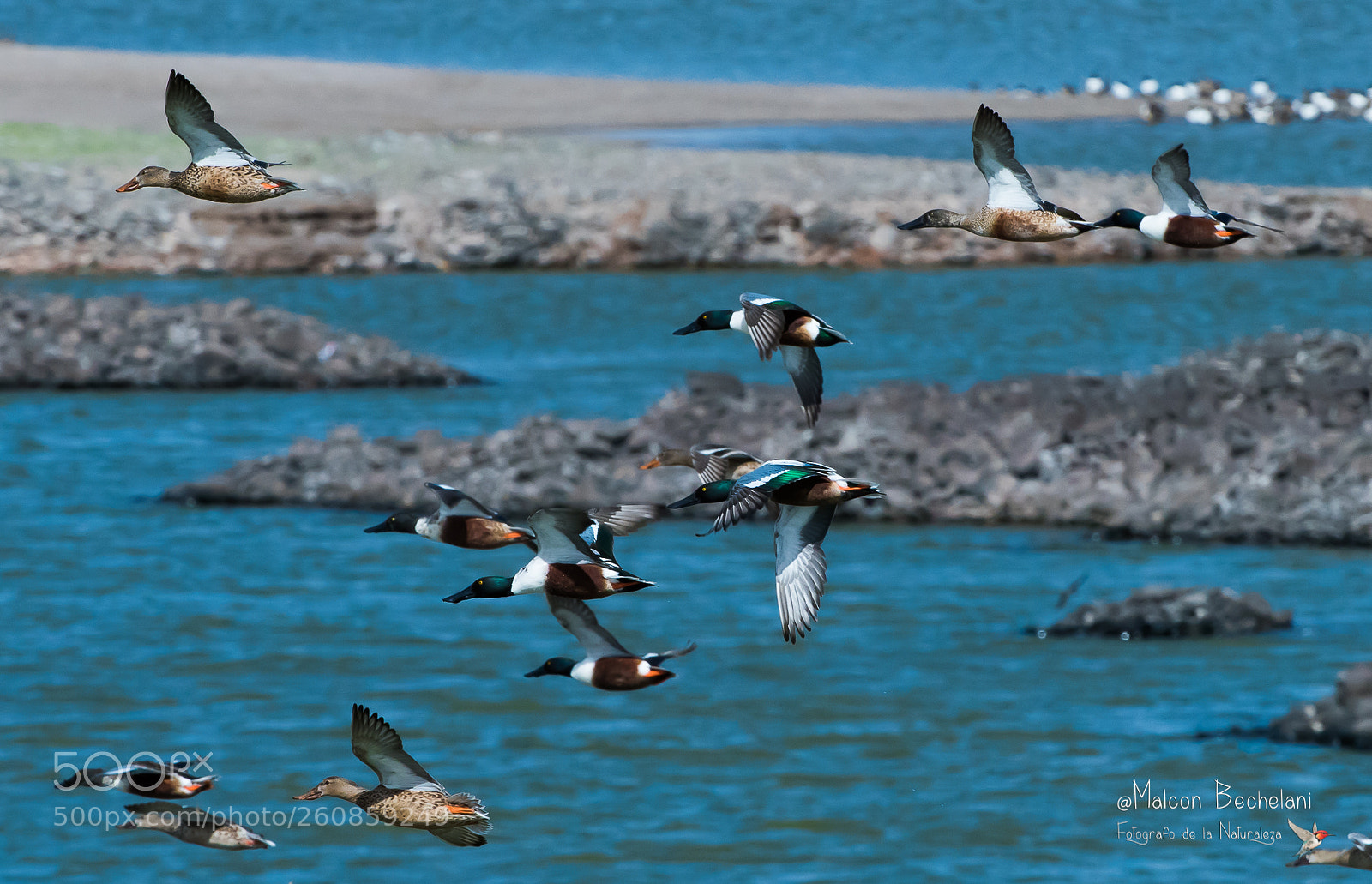 Nikon D810 sample photo. Mbs photography