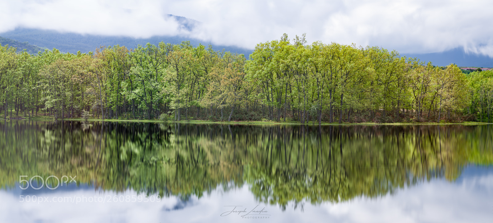 Canon EOS 5D sample photo. Forest´s reflection ii photography