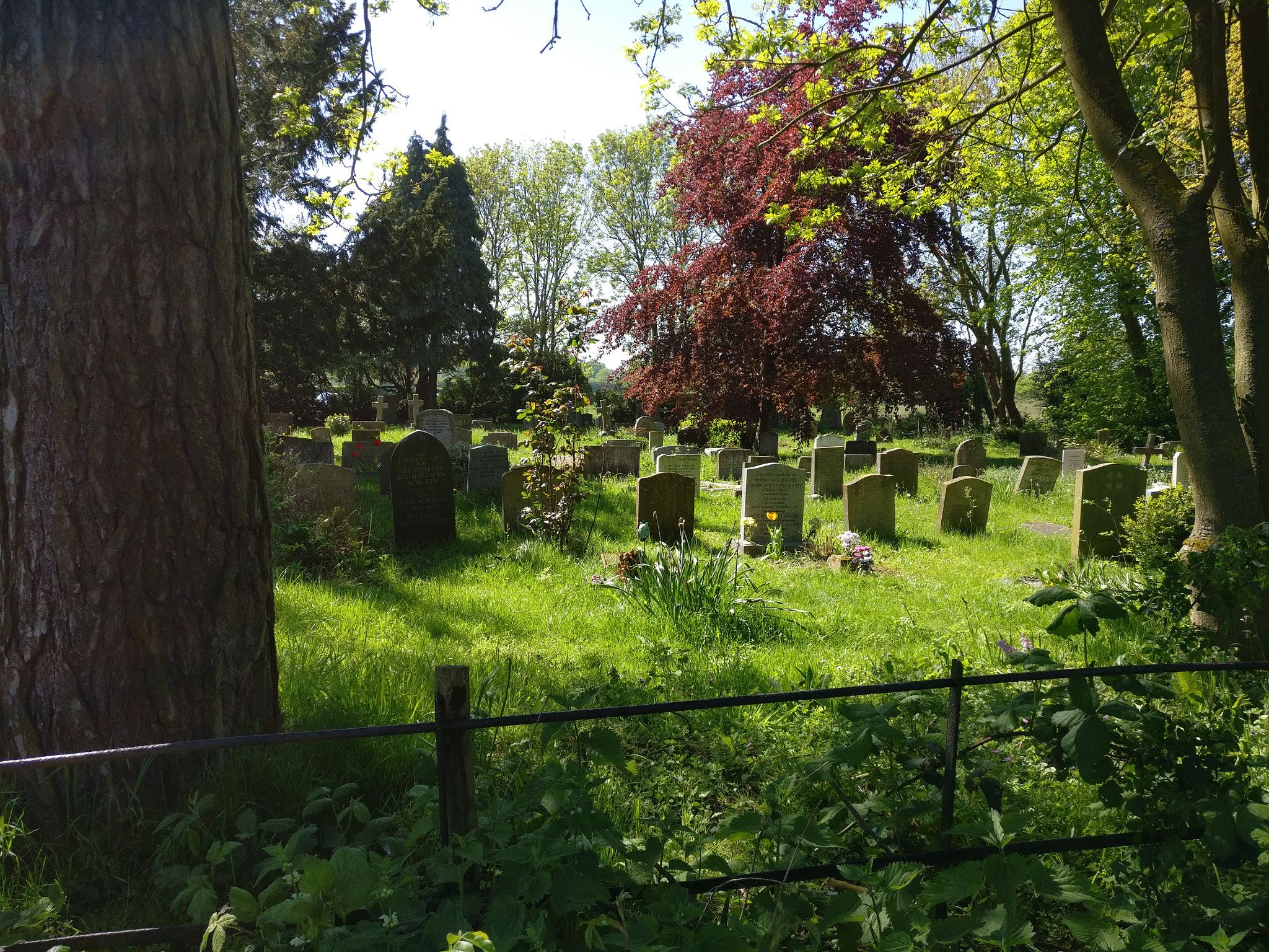 OnePlus A3000 sample photo. Img_20180507_150754.jpg photography