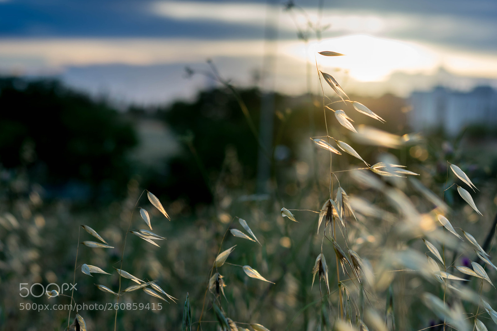 Nikon D3300 sample photo. Casa photography
