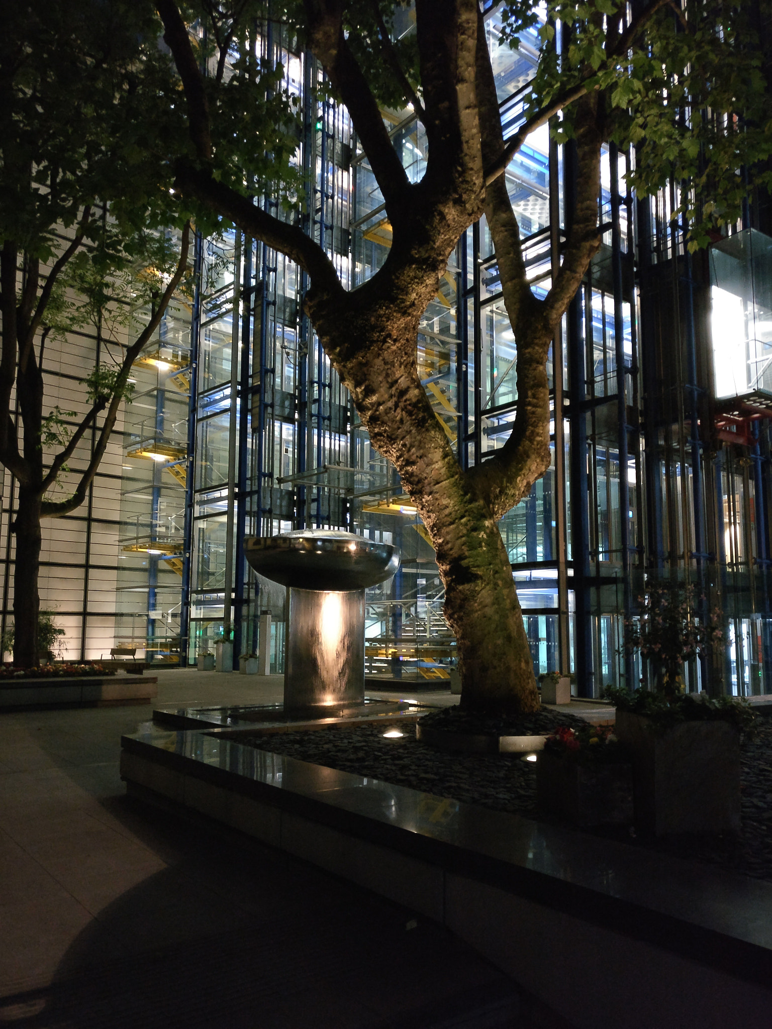 OnePlus A3000 sample photo. Img_20180602_034413.jpg photography