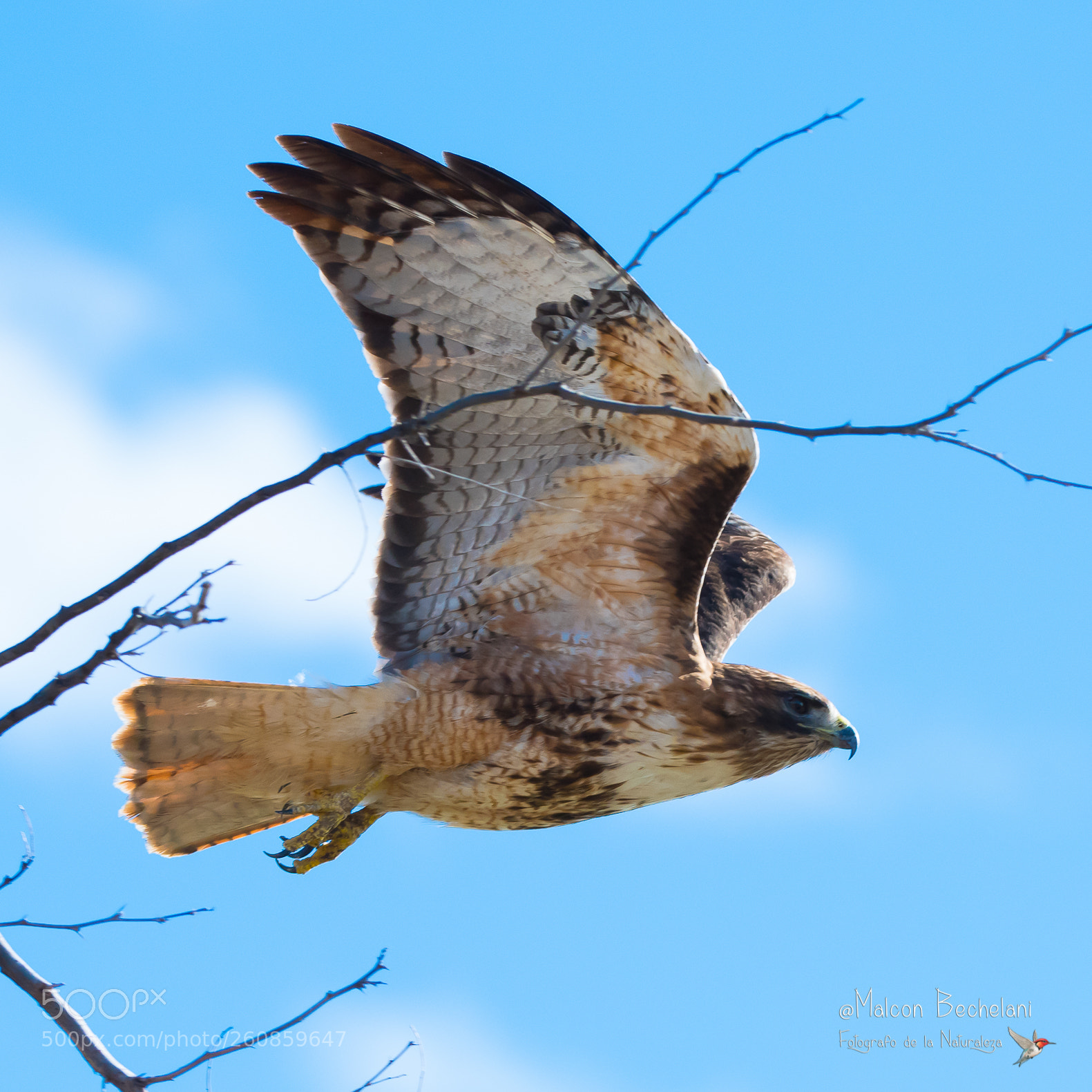 Nikon D810 sample photo. Mbs photography