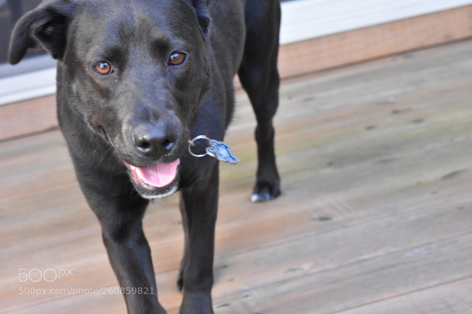 Nikon D3400 sample photo. Sadie photography
