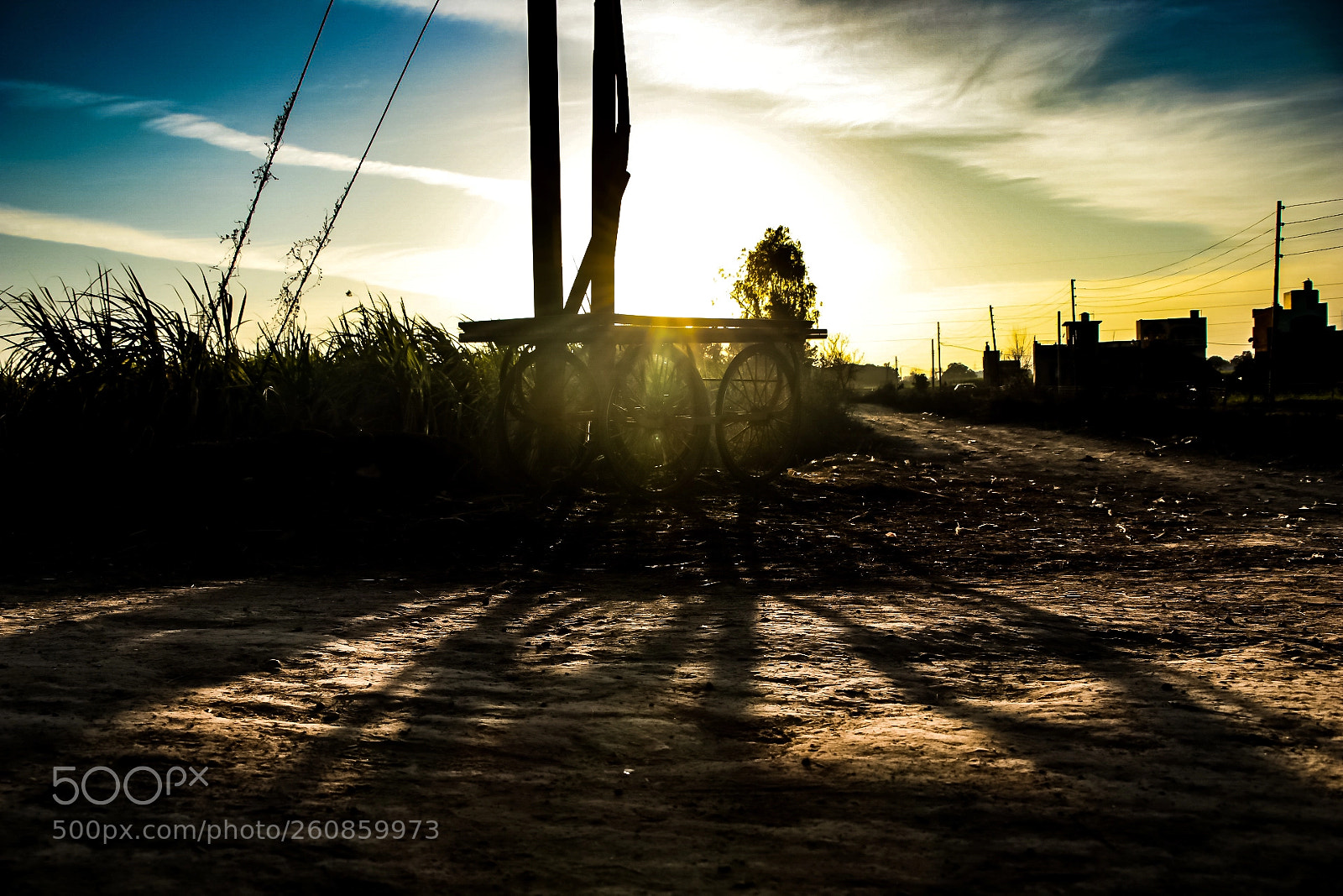 Canon EOS 80D sample photo. Untitled photography