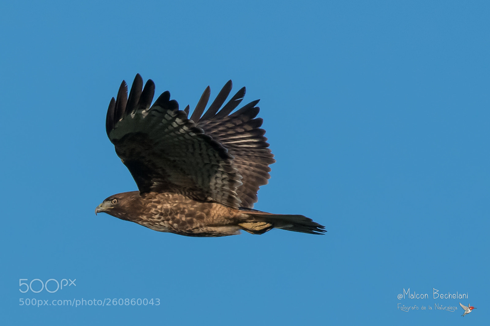 Nikon D810 sample photo. Mbs photography