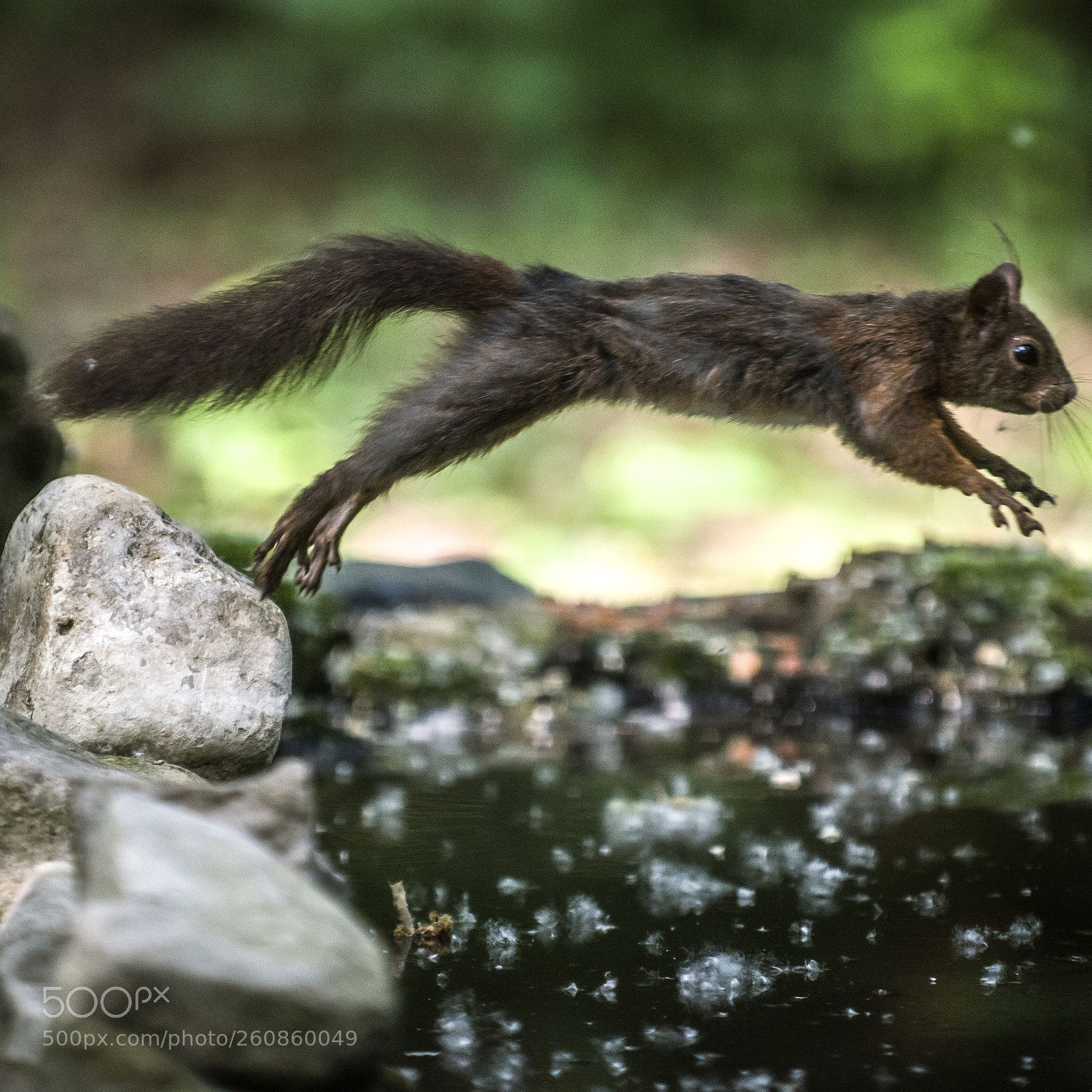 Nikon D810 sample photo. Untitled photography