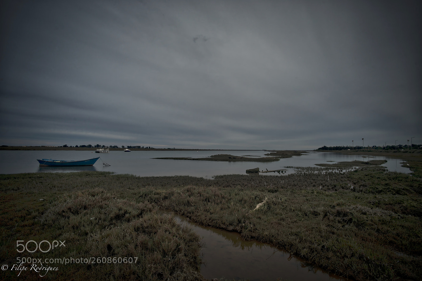 Nikon D800E sample photo. Coastal marshes photography