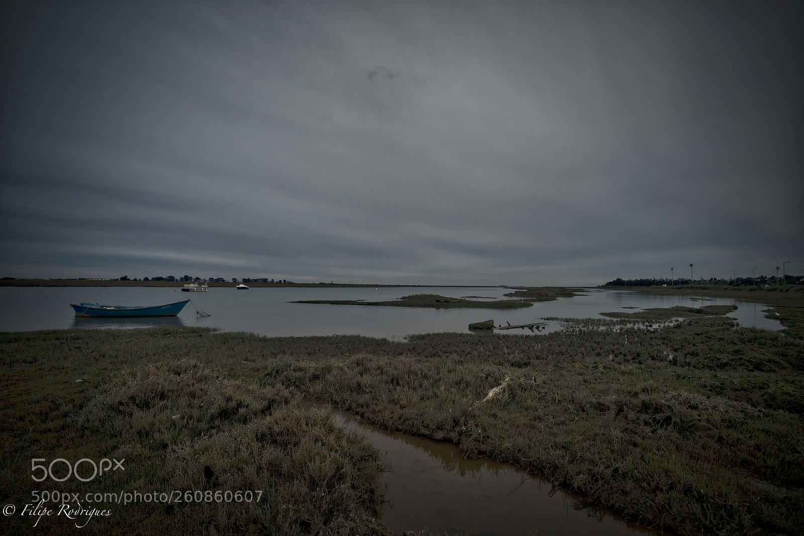 Nikon D800E sample photo. Coastal marshes photography