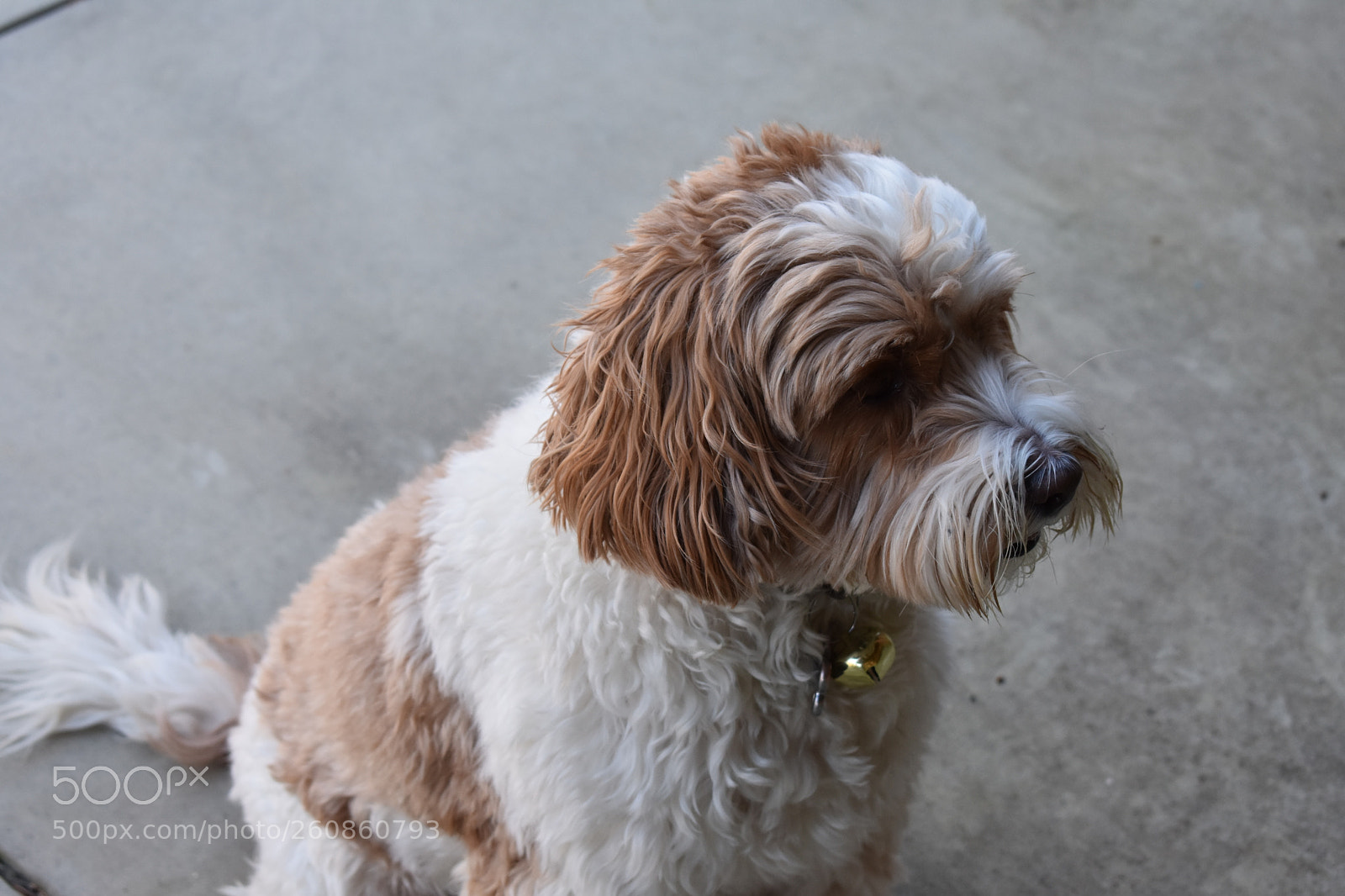 Nikon D3400 sample photo. Artoo photography