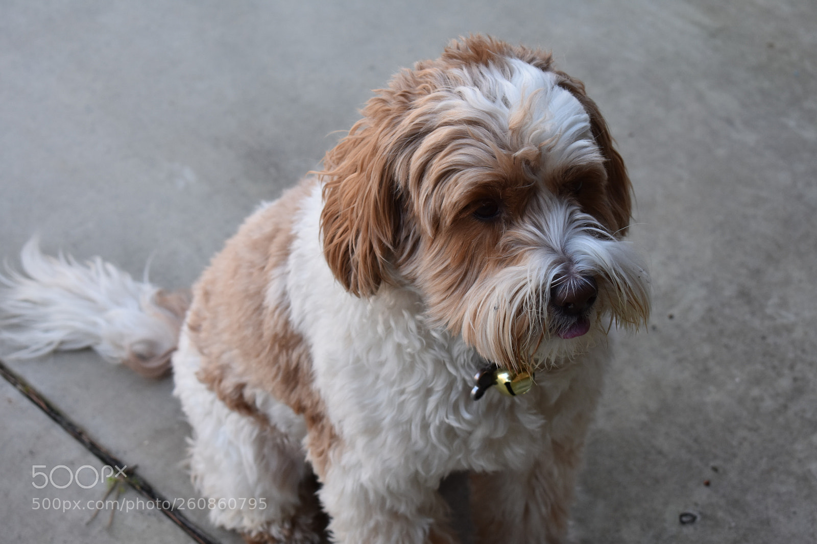 Nikon D3400 sample photo. Artoo photography