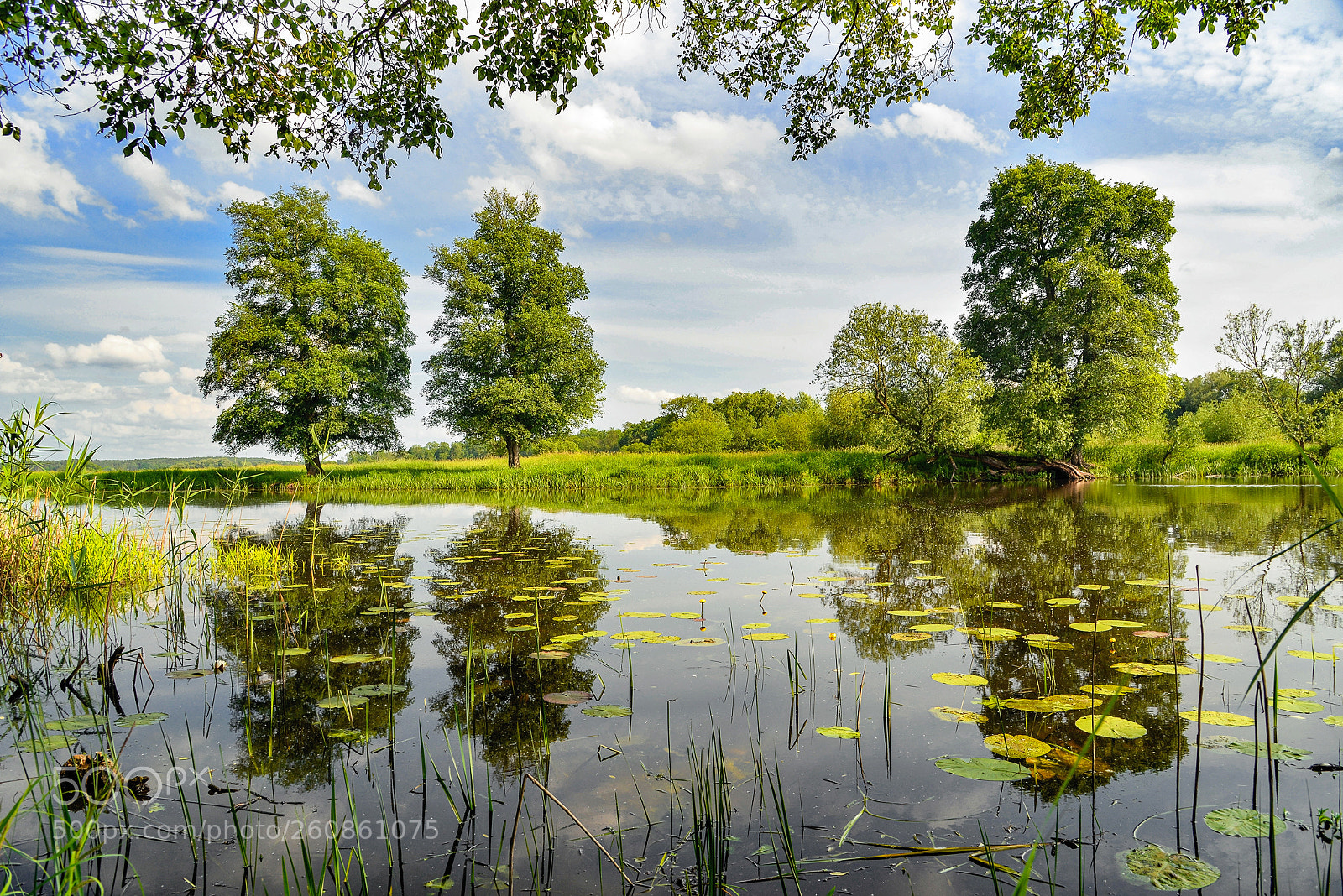 Nikon D610 sample photo. Nationalpark unteres odertal photography