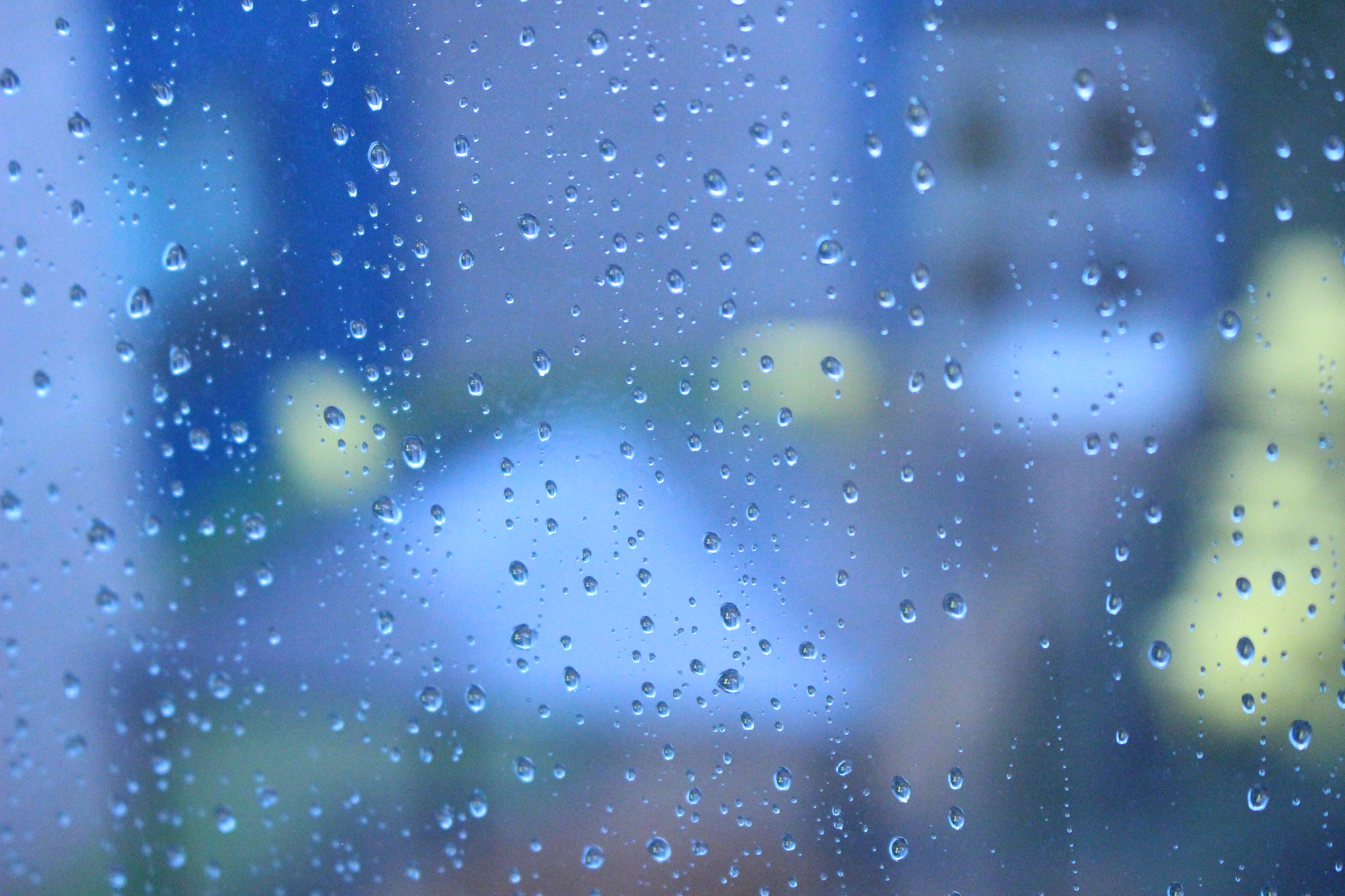 Canon EOS 100D (EOS Rebel SL1 / EOS Kiss X7) sample photo. Rainy day photography