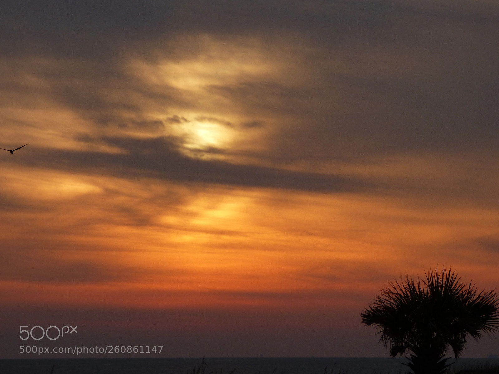 Panasonic Lumix DMC-FZ70 sample photo. Soft sunset photography