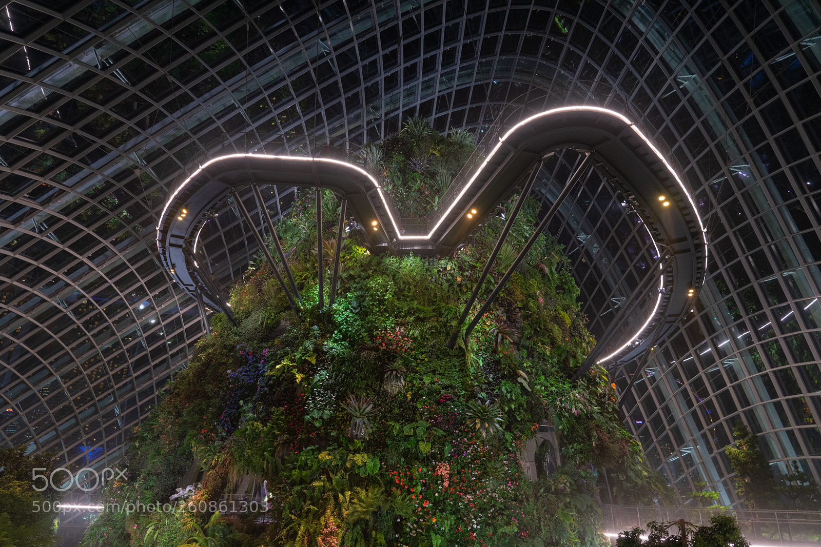 Sony a7 II sample photo. Cloud forest photography