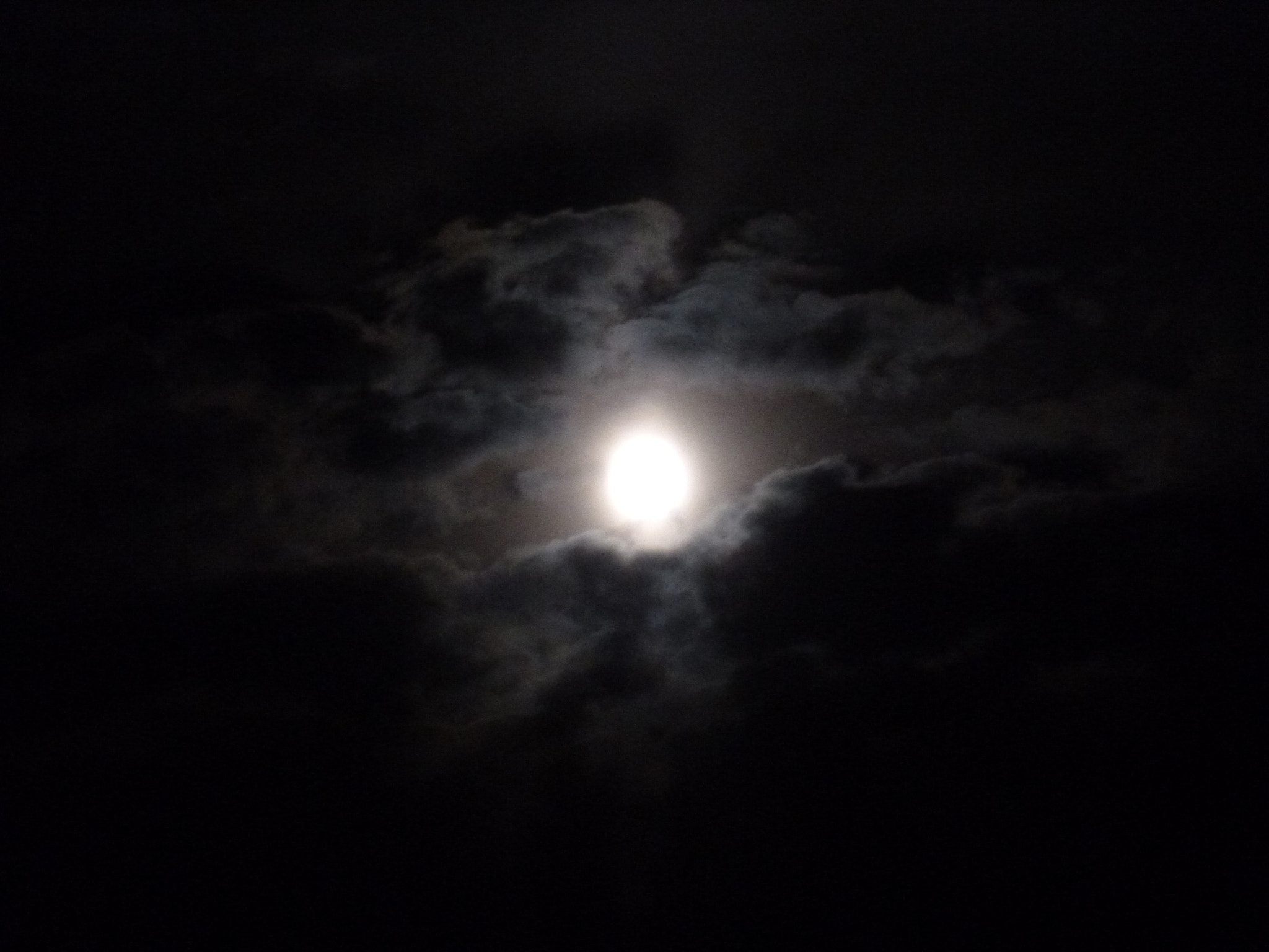 Panasonic DMC-SZ1 sample photo. In moon eye photography