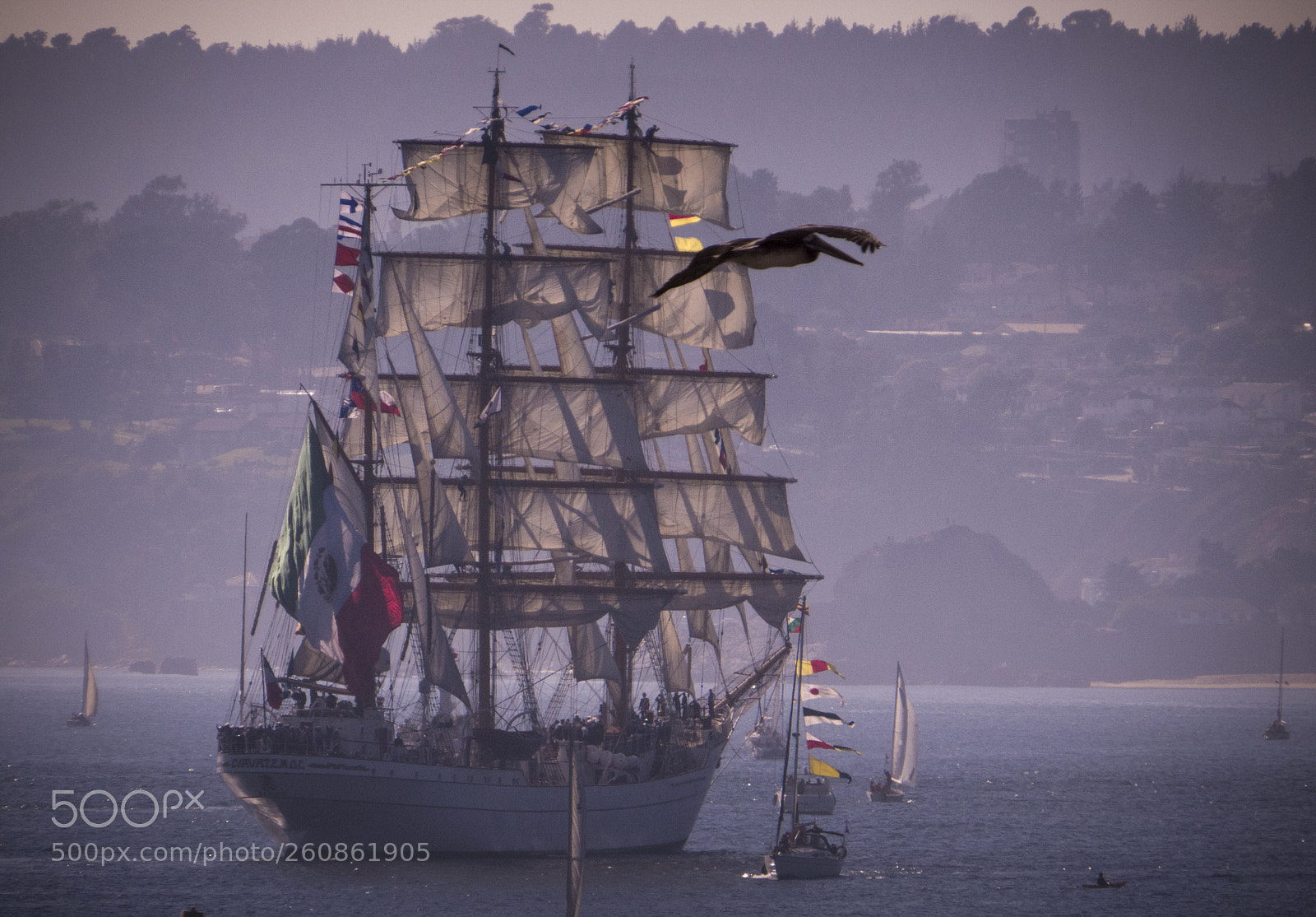 Canon PowerShot SX50 HS sample photo. Cuauhtémoc photography