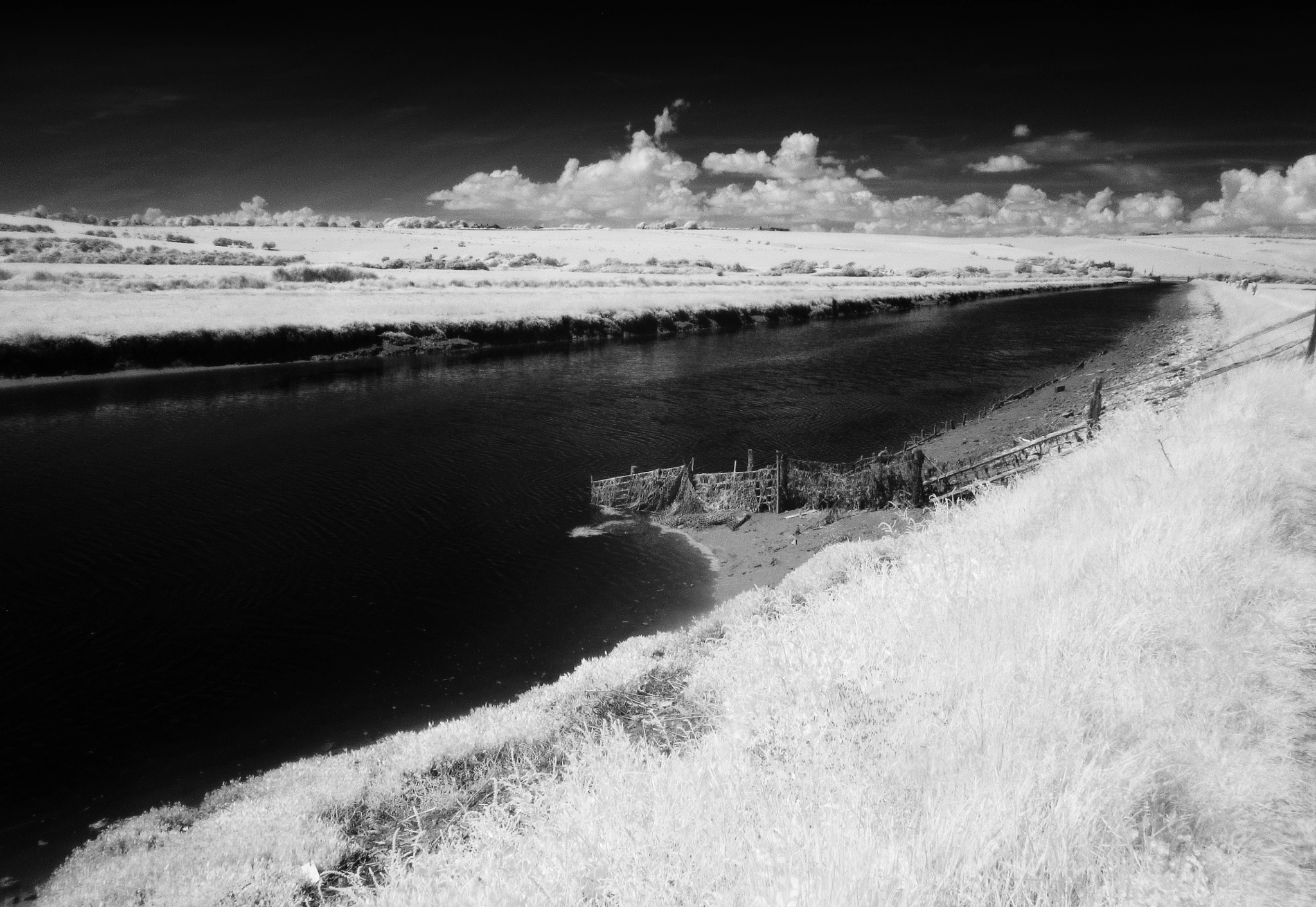 Canon PowerShot SX210 IS sample photo. Cuckmere valley photography