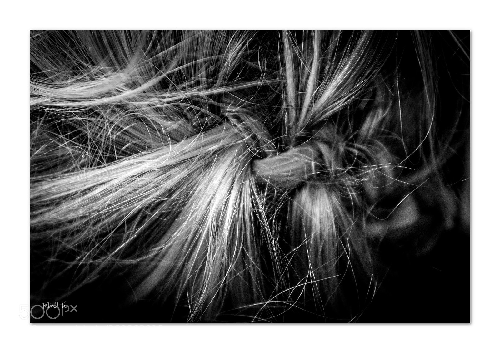 Canon EOS 600D (Rebel EOS T3i / EOS Kiss X5) sample photo. The braid photography