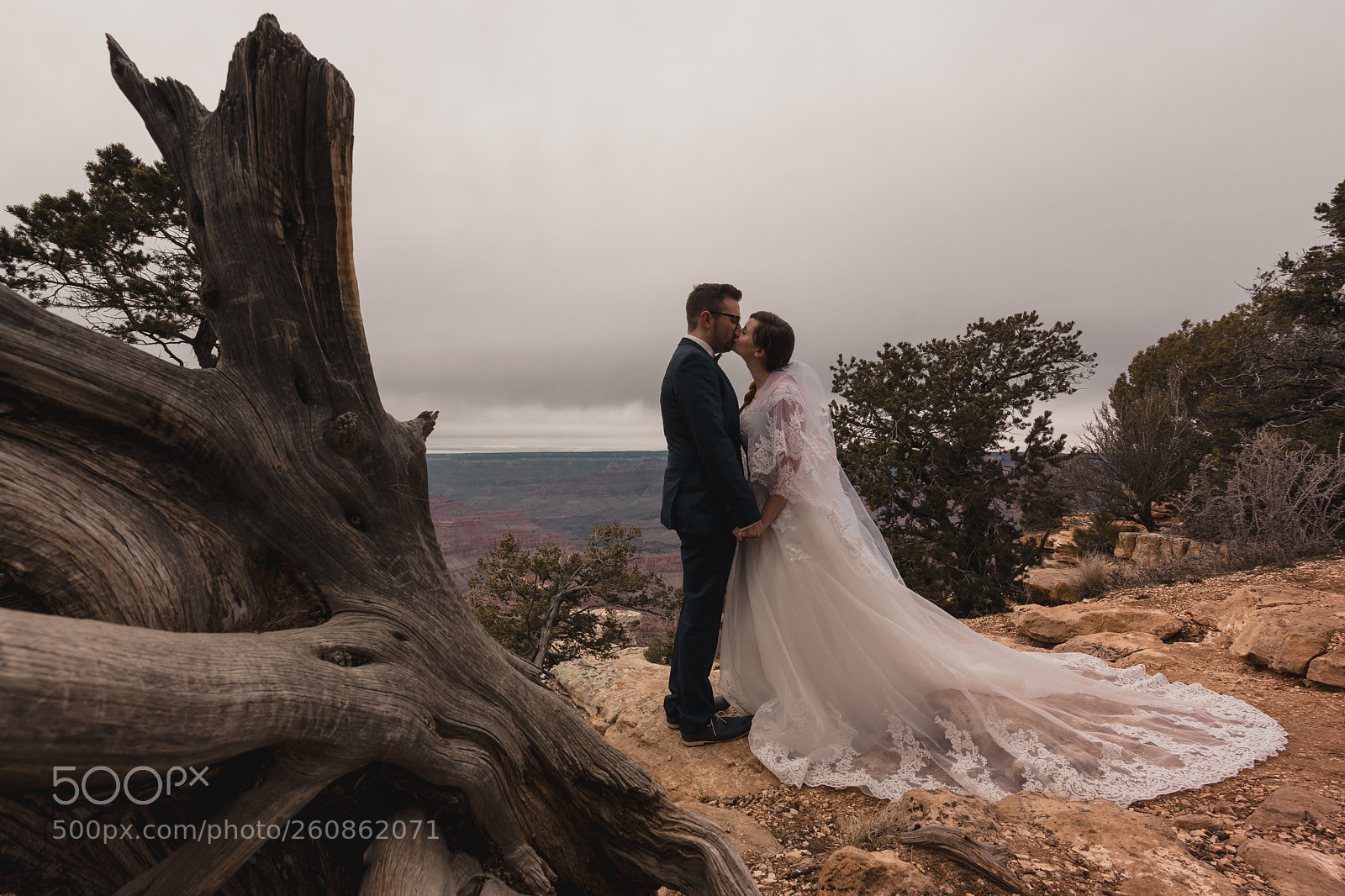 Sony a7 II sample photo. Wood photography