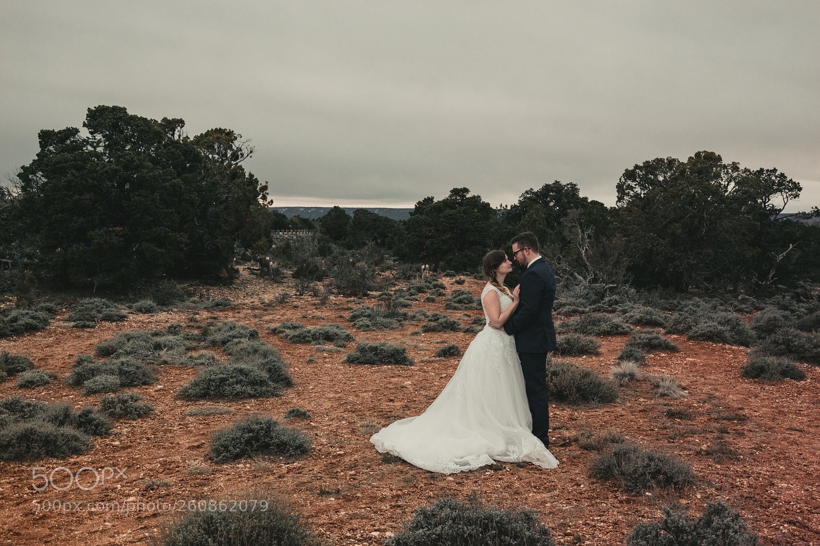 Sony a7 II sample photo. Cold photography